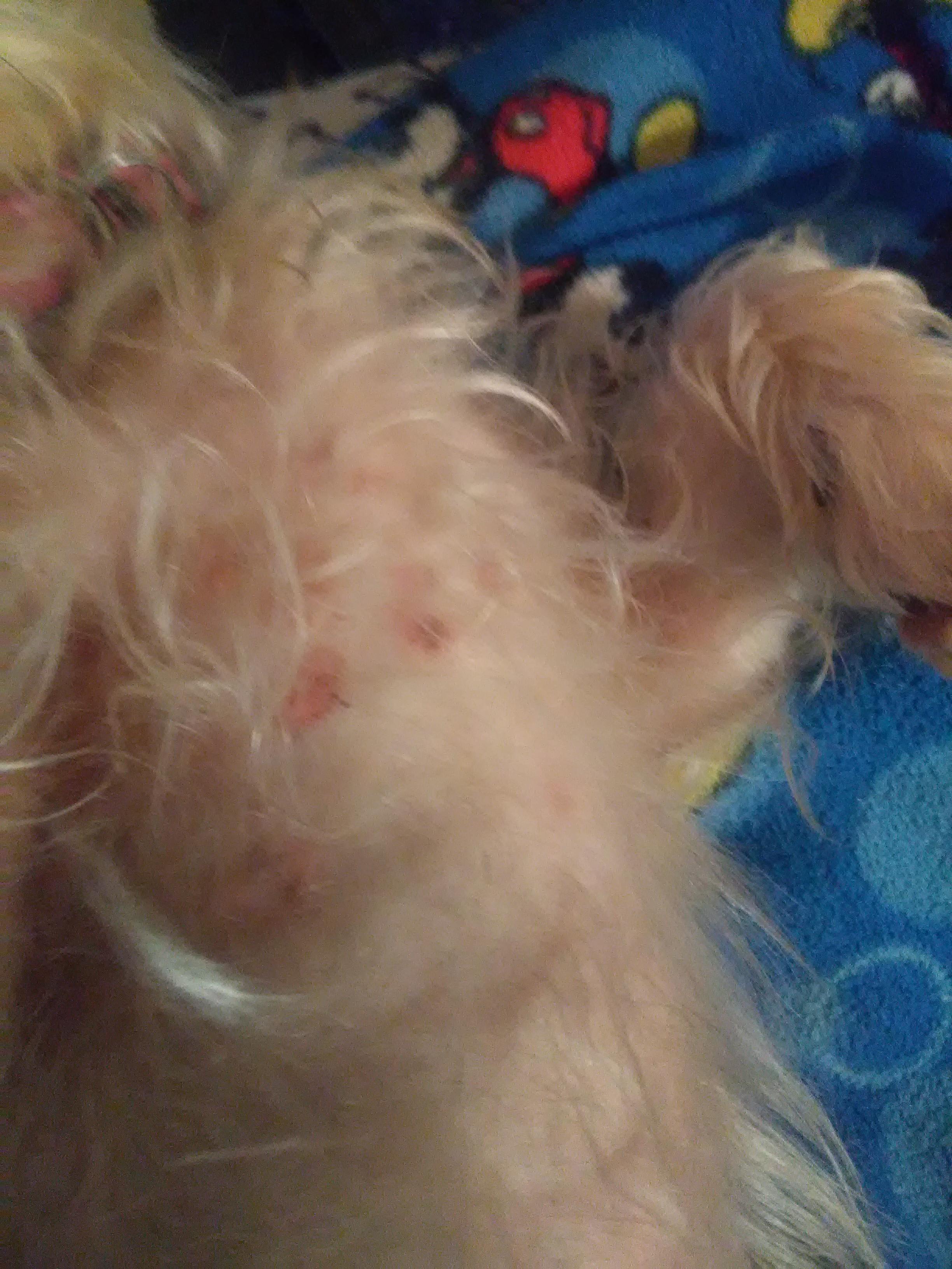 Question details sensitive content