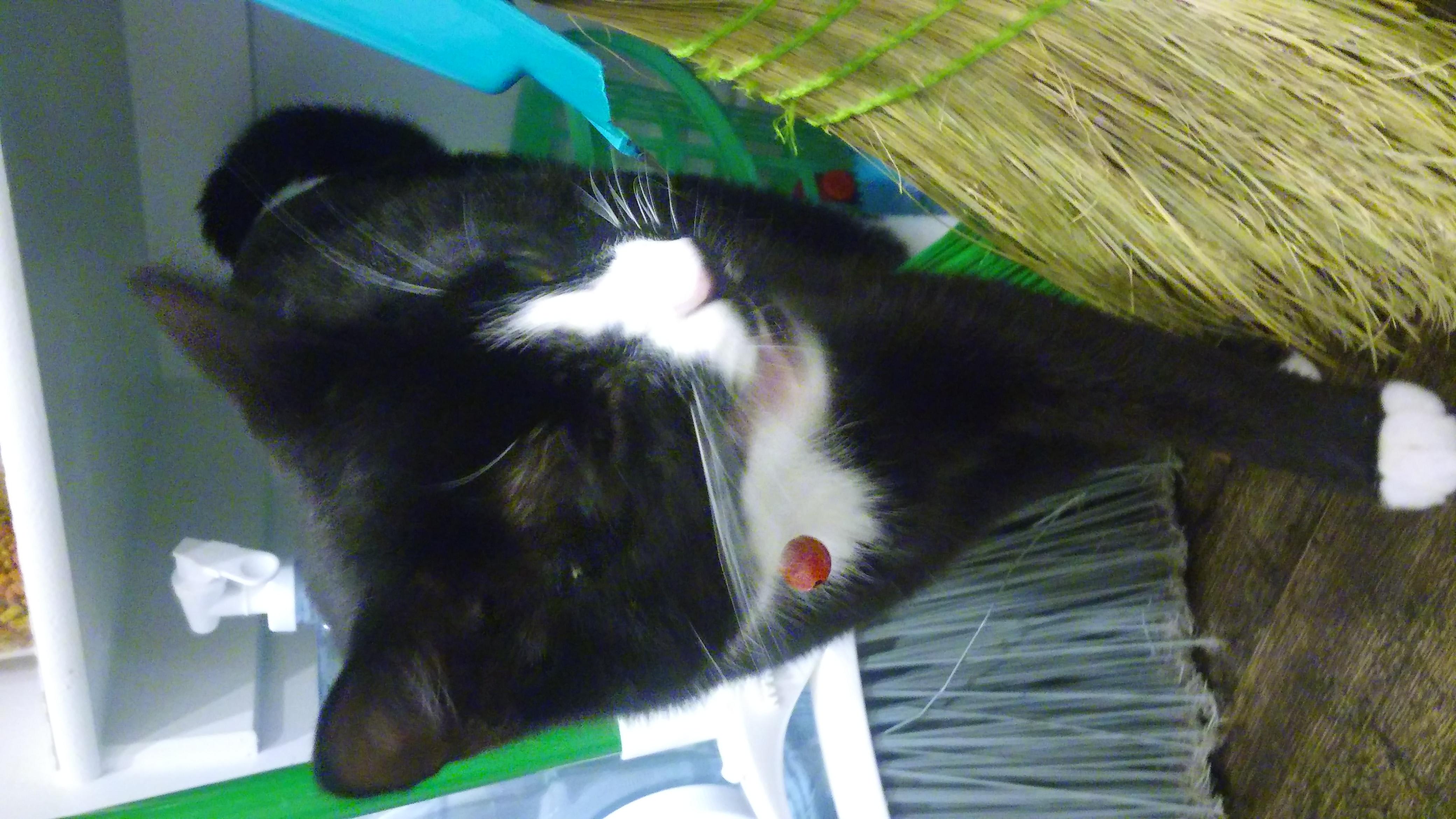 Question details sensitive content