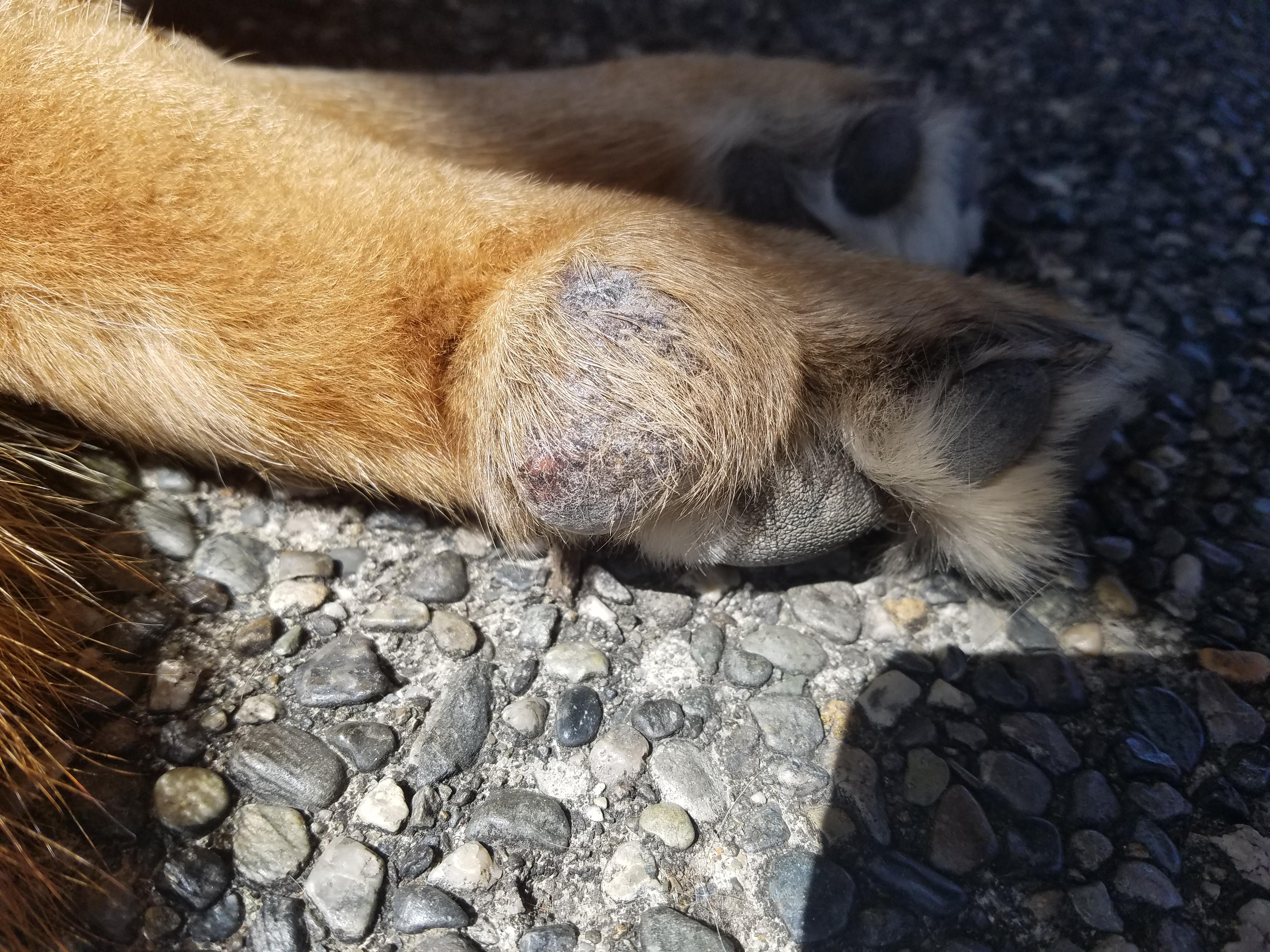 Question details sensitive content