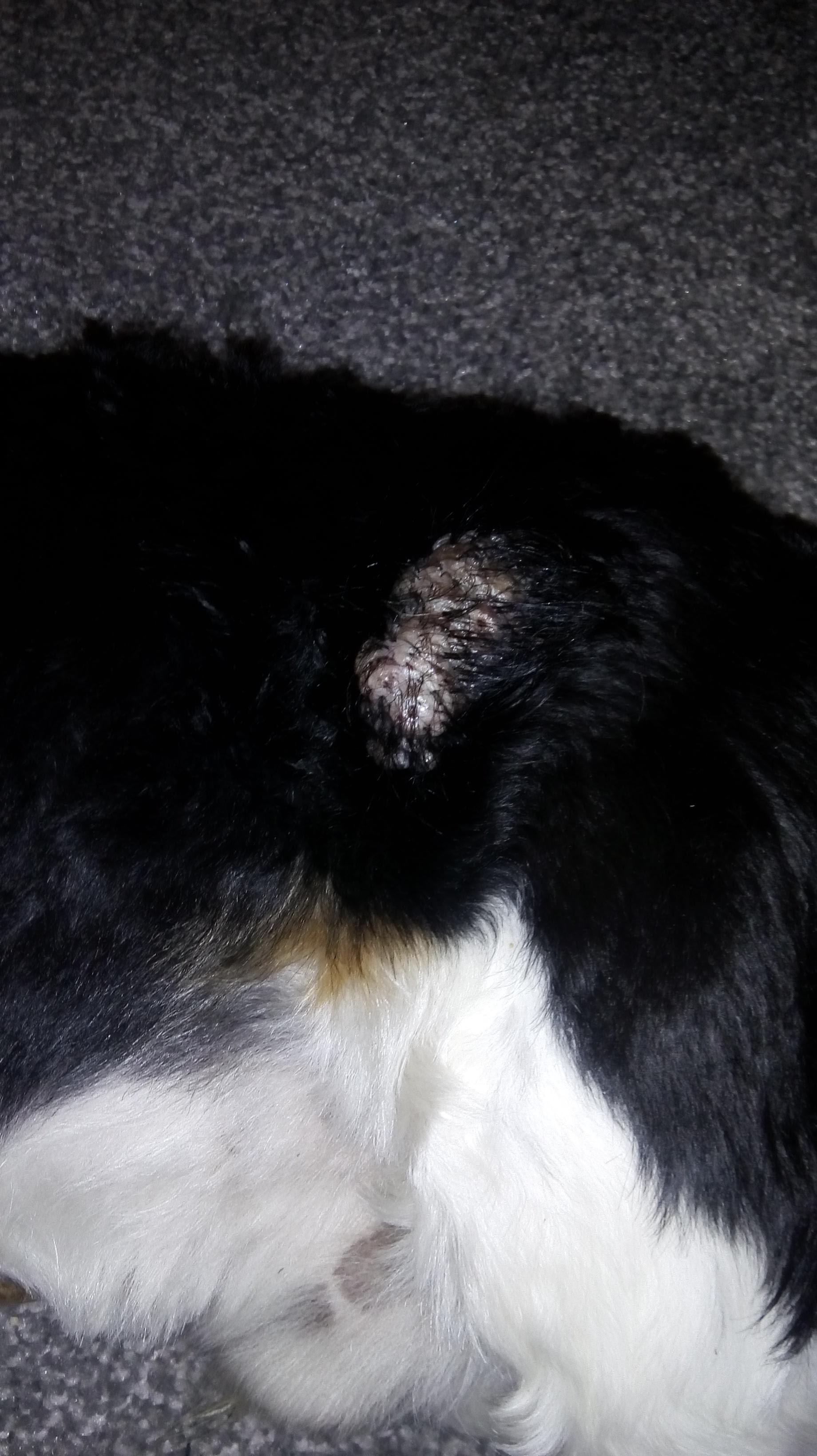 Question details sensitive content