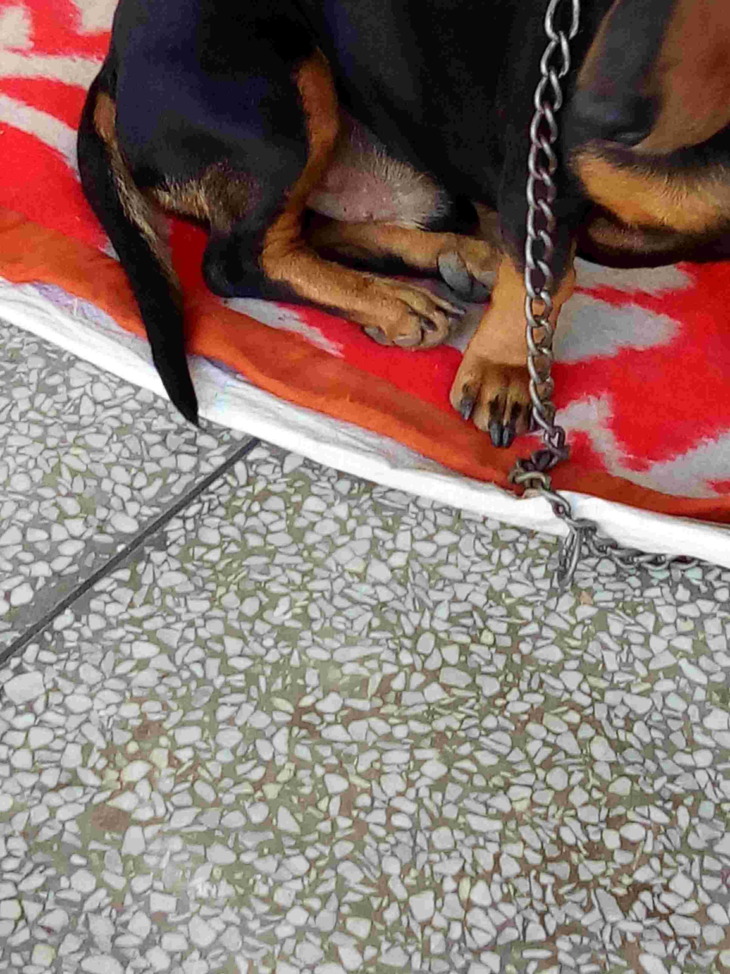 Question details sensitive content