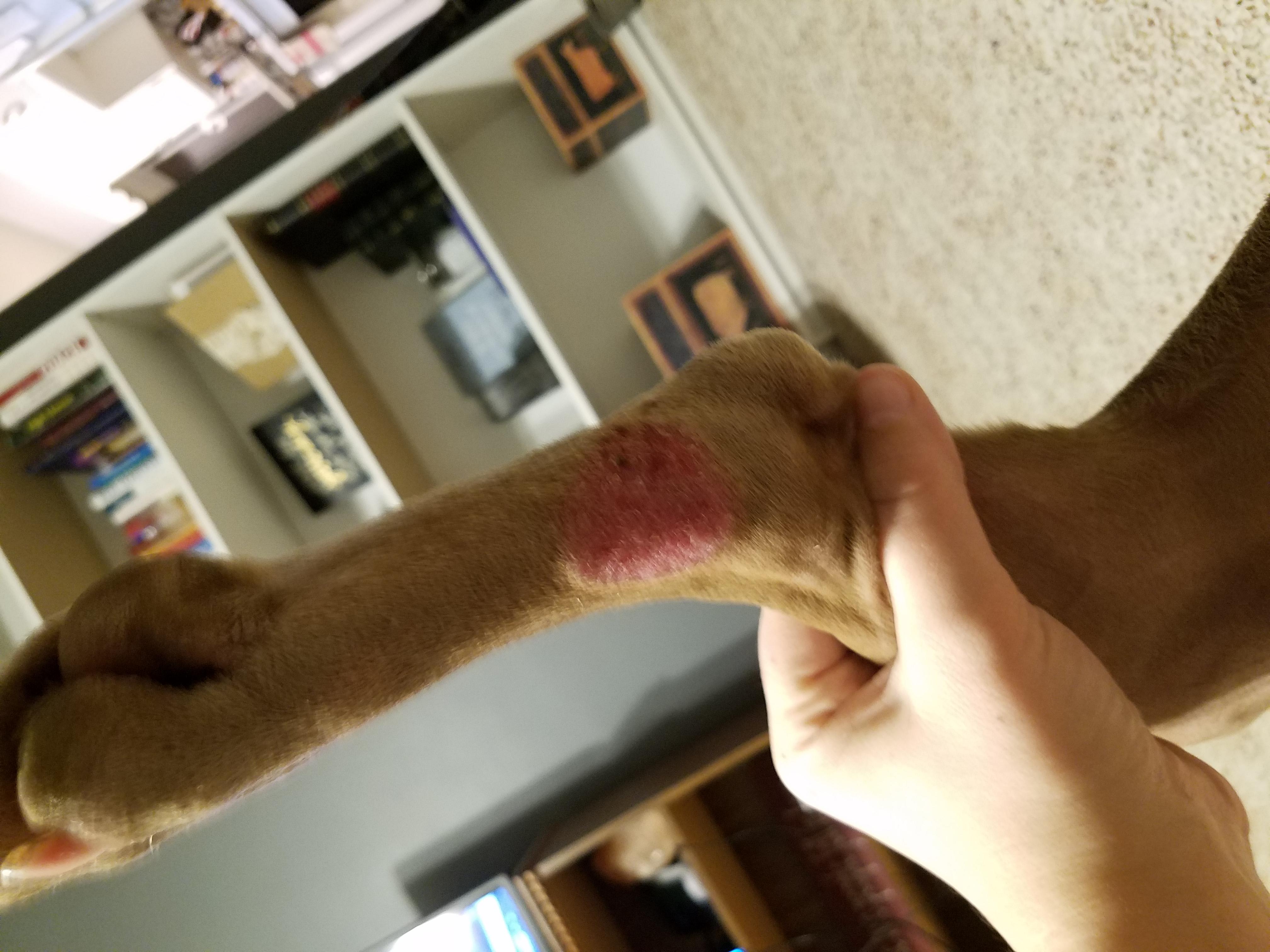 Question details sensitive content