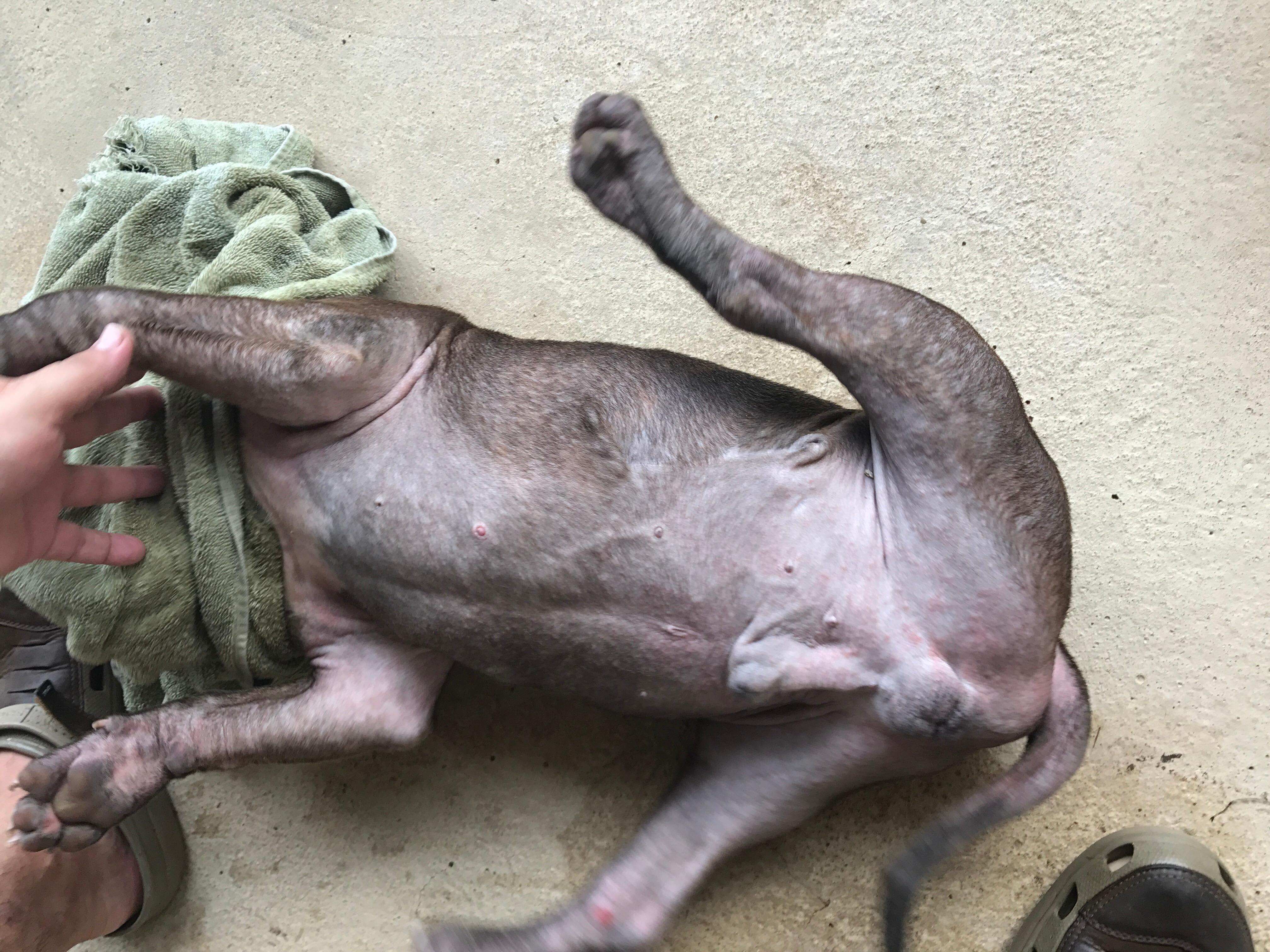 Question details sensitive content