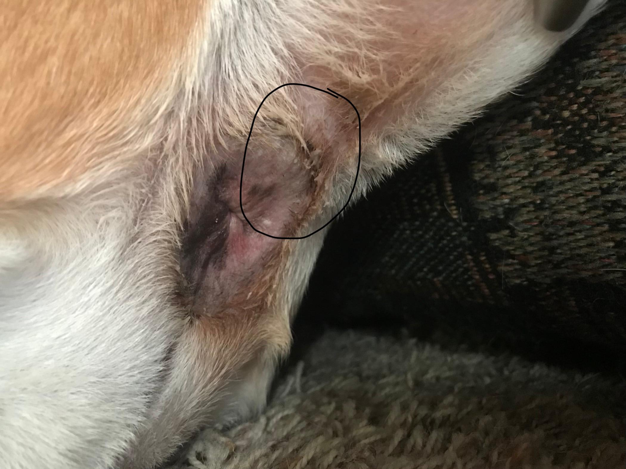 Question details sensitive content