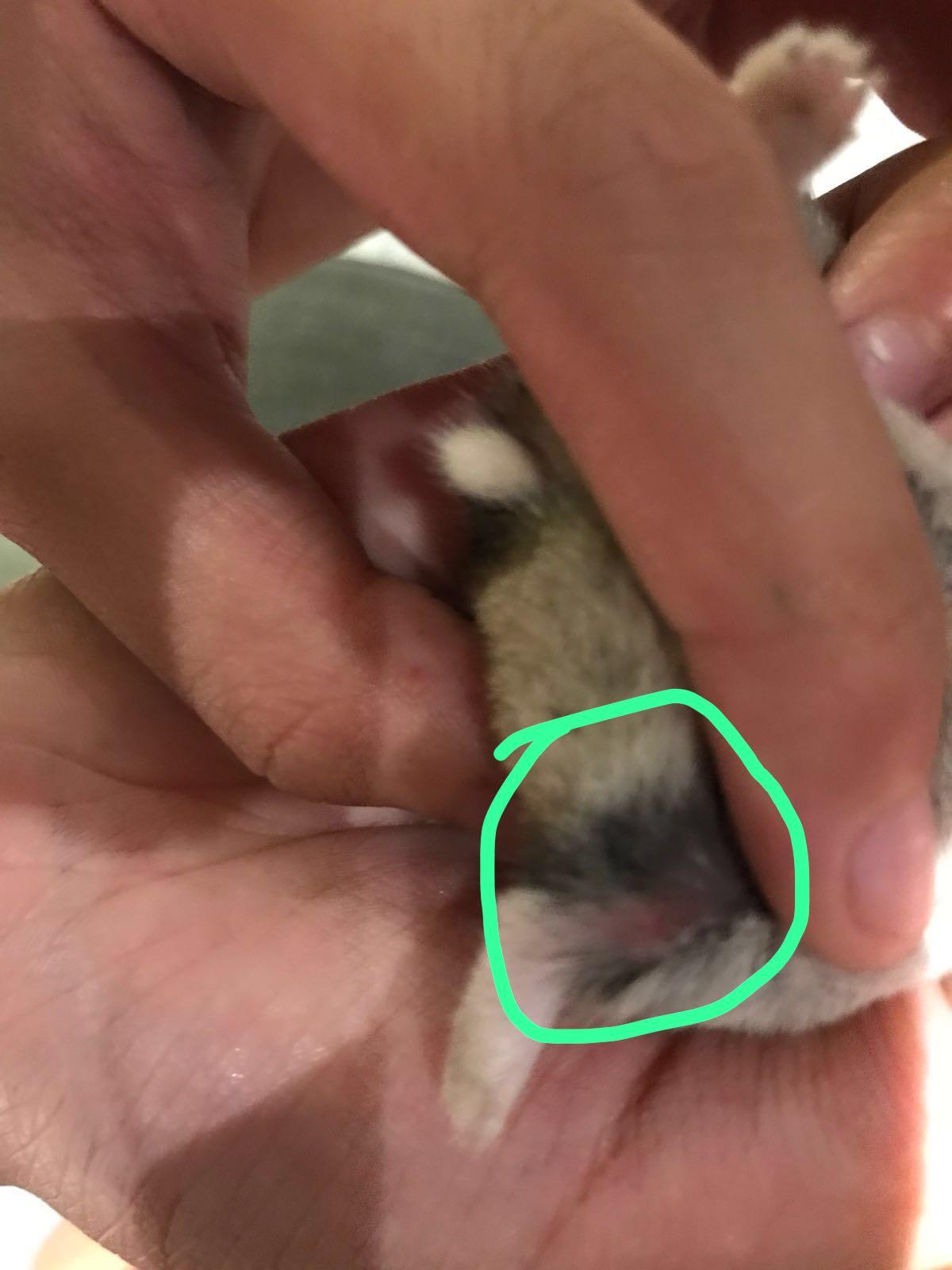 Question details sensitive content