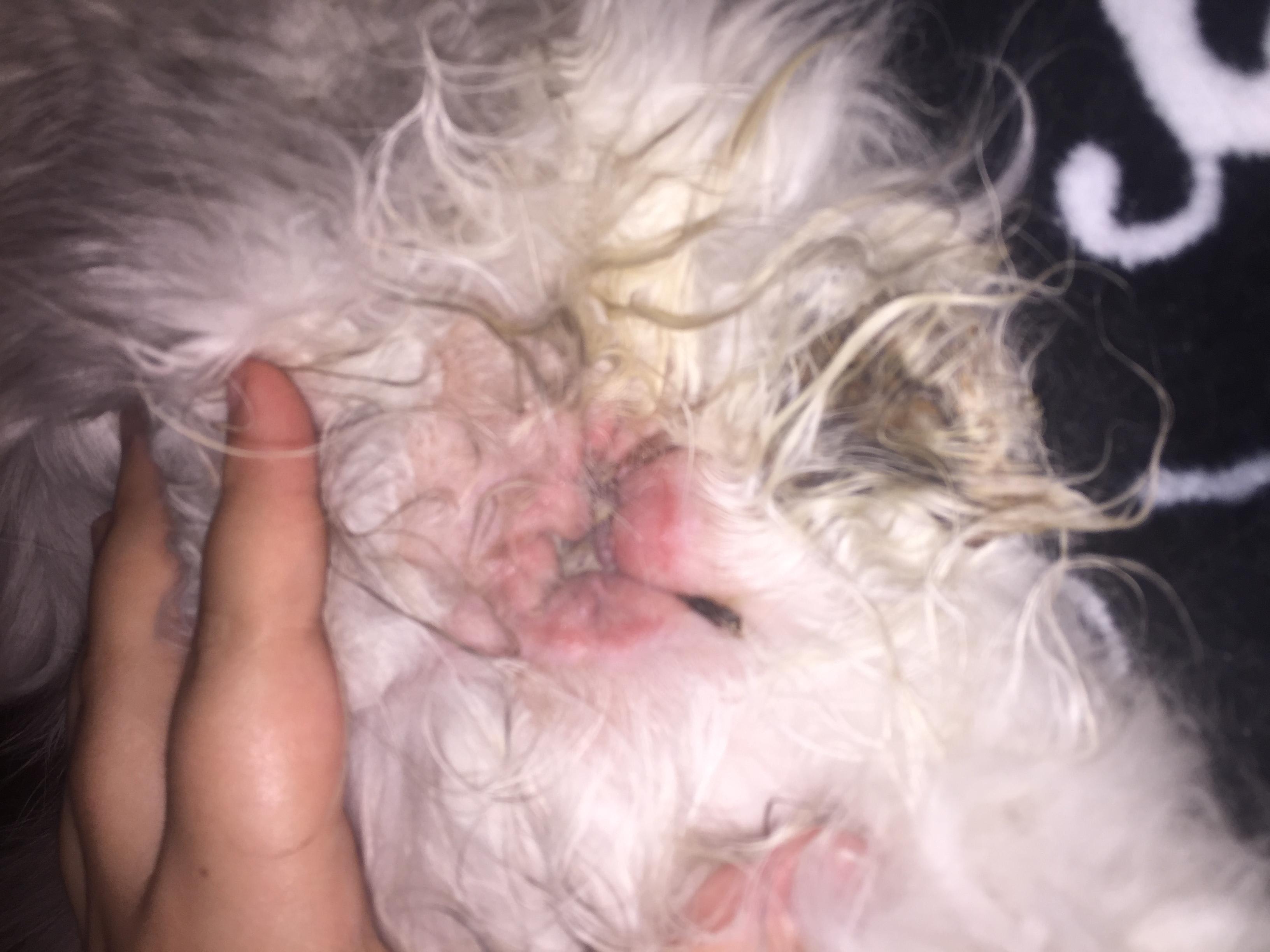 Question details sensitive content