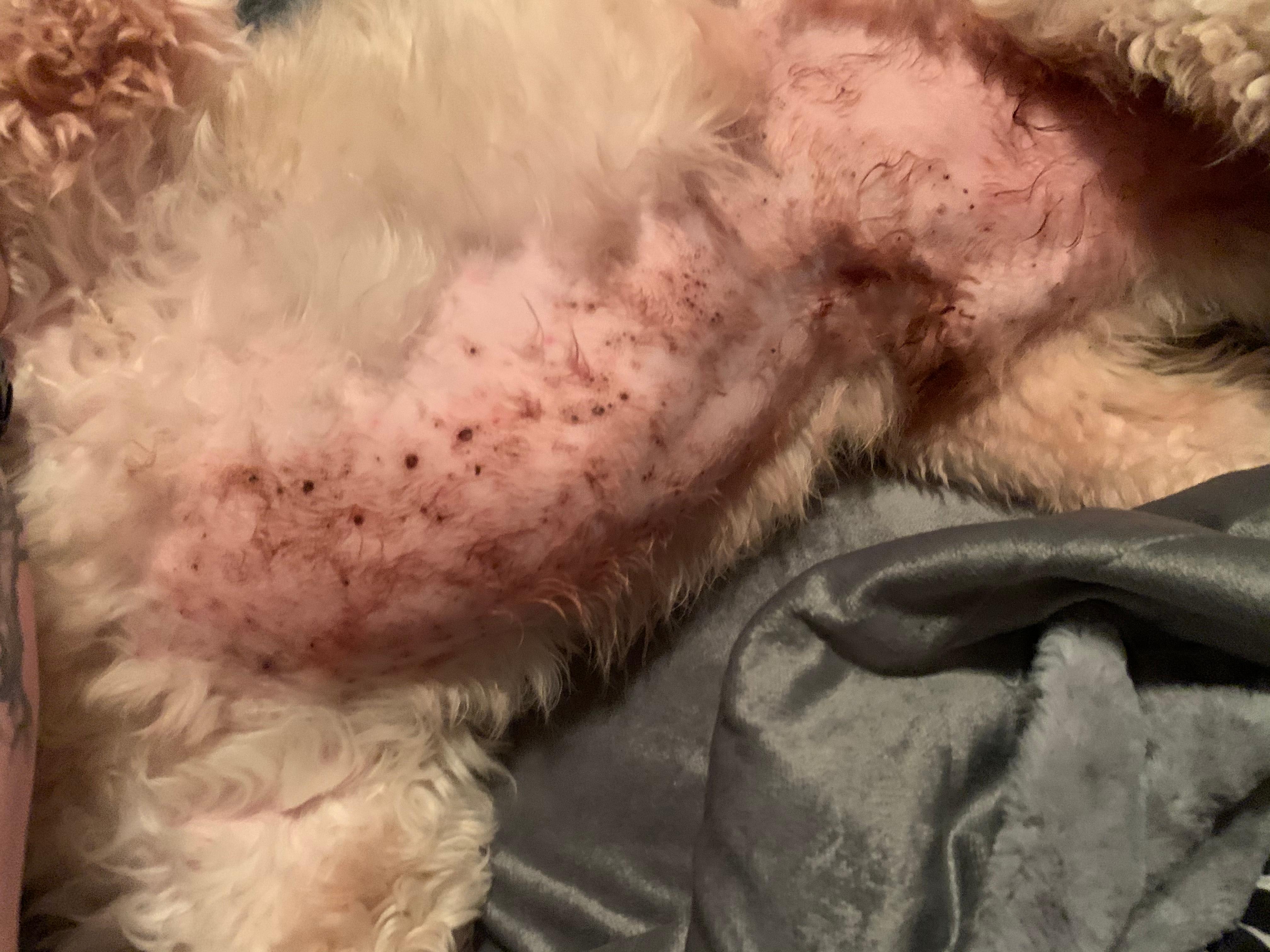 Question details sensitive content