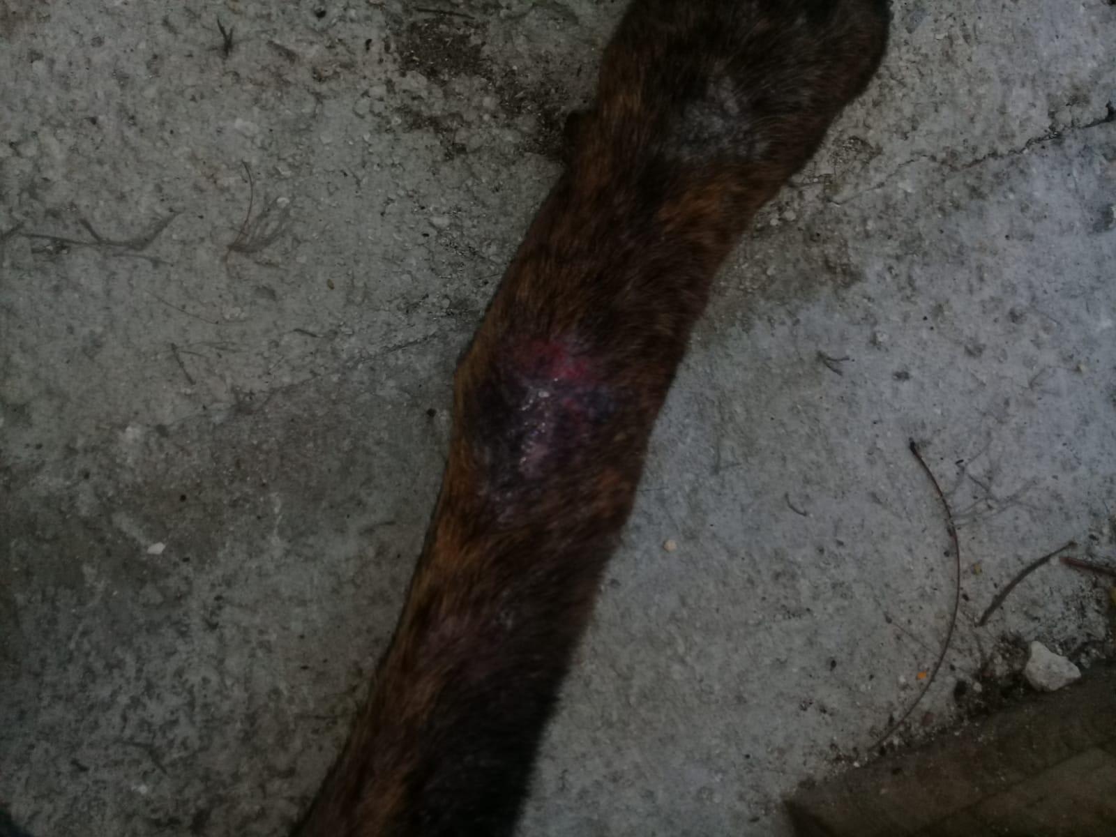 Question details sensitive content