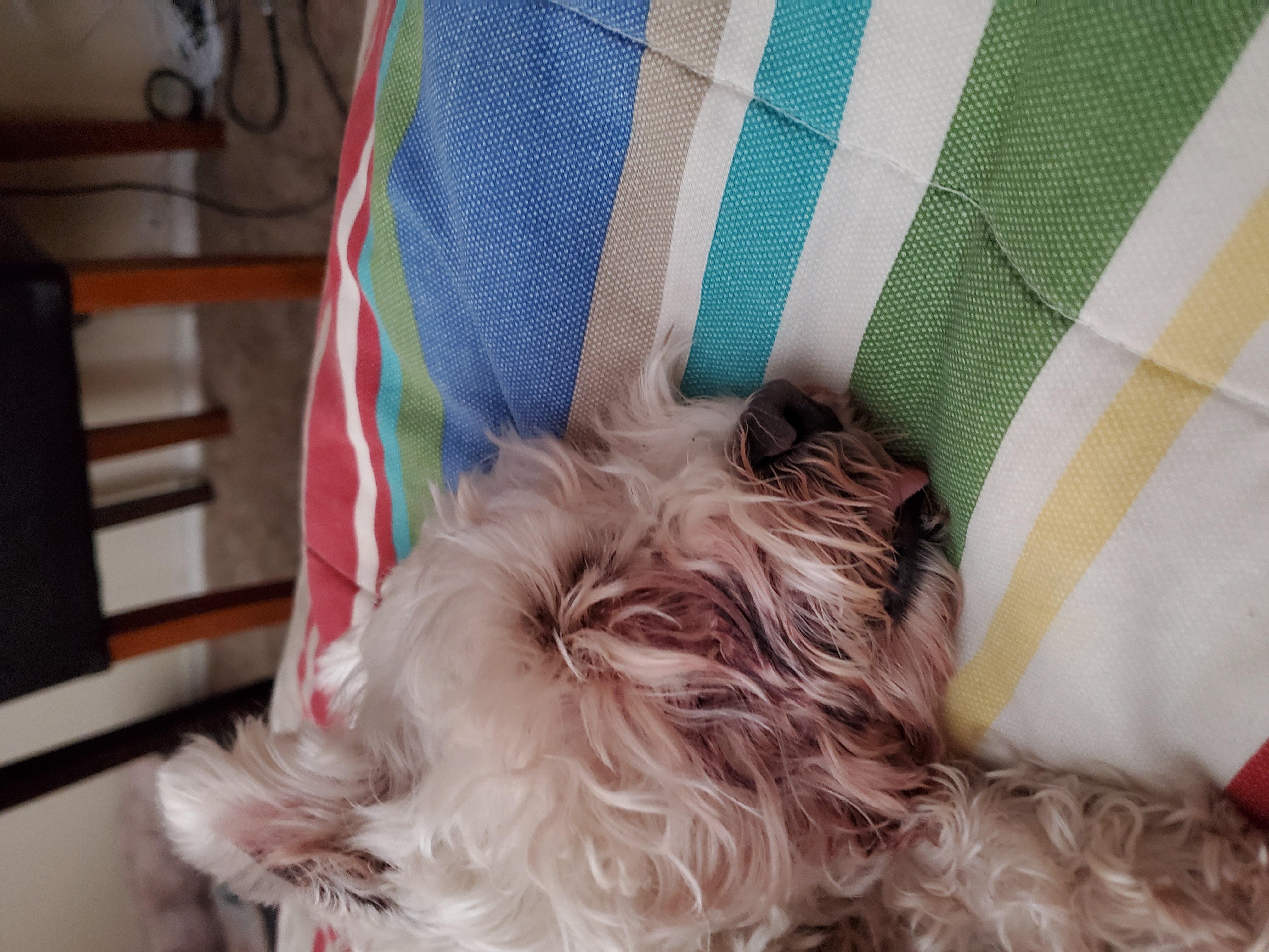 Question details sensitive content