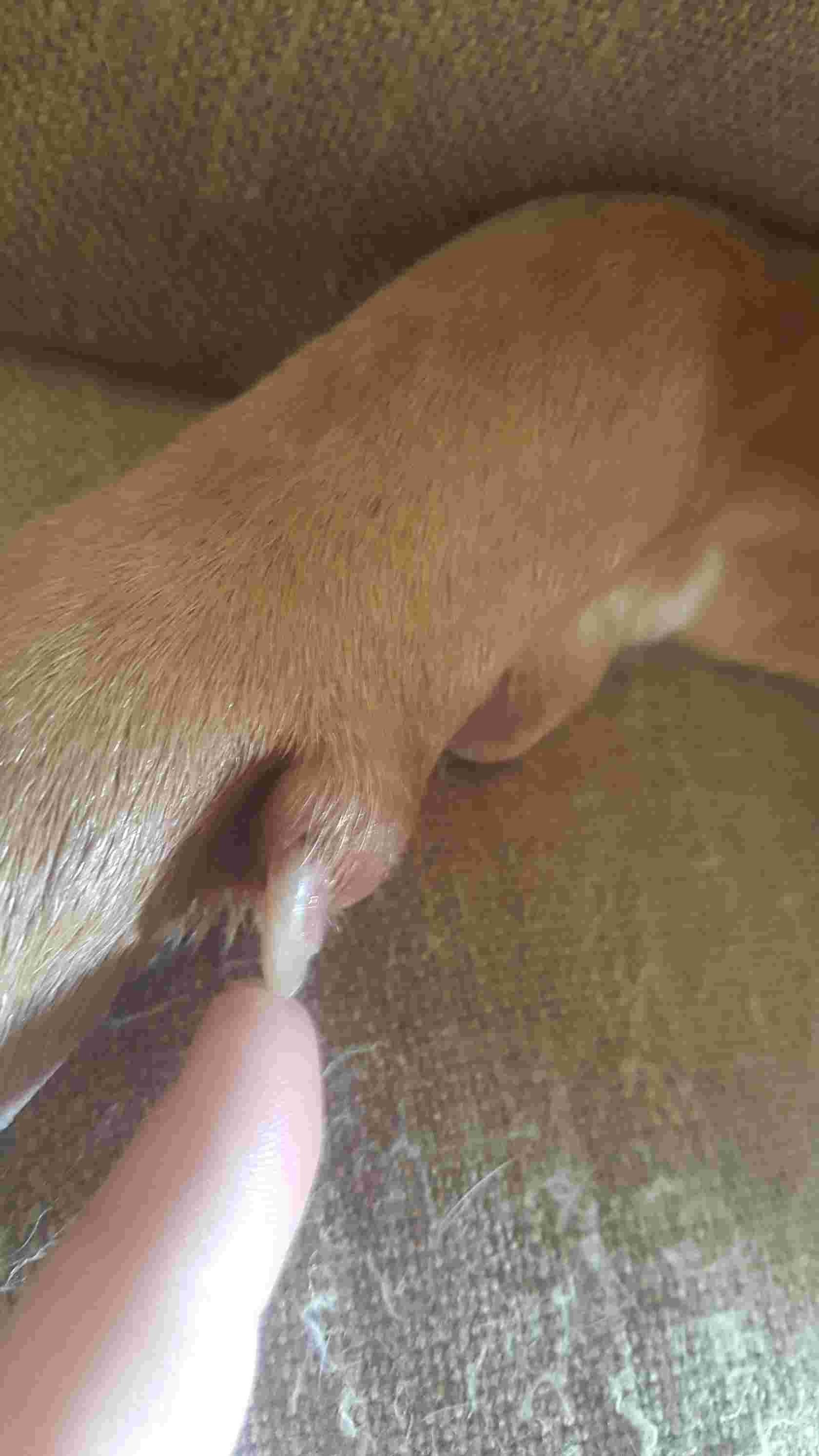 Question details sensitive content