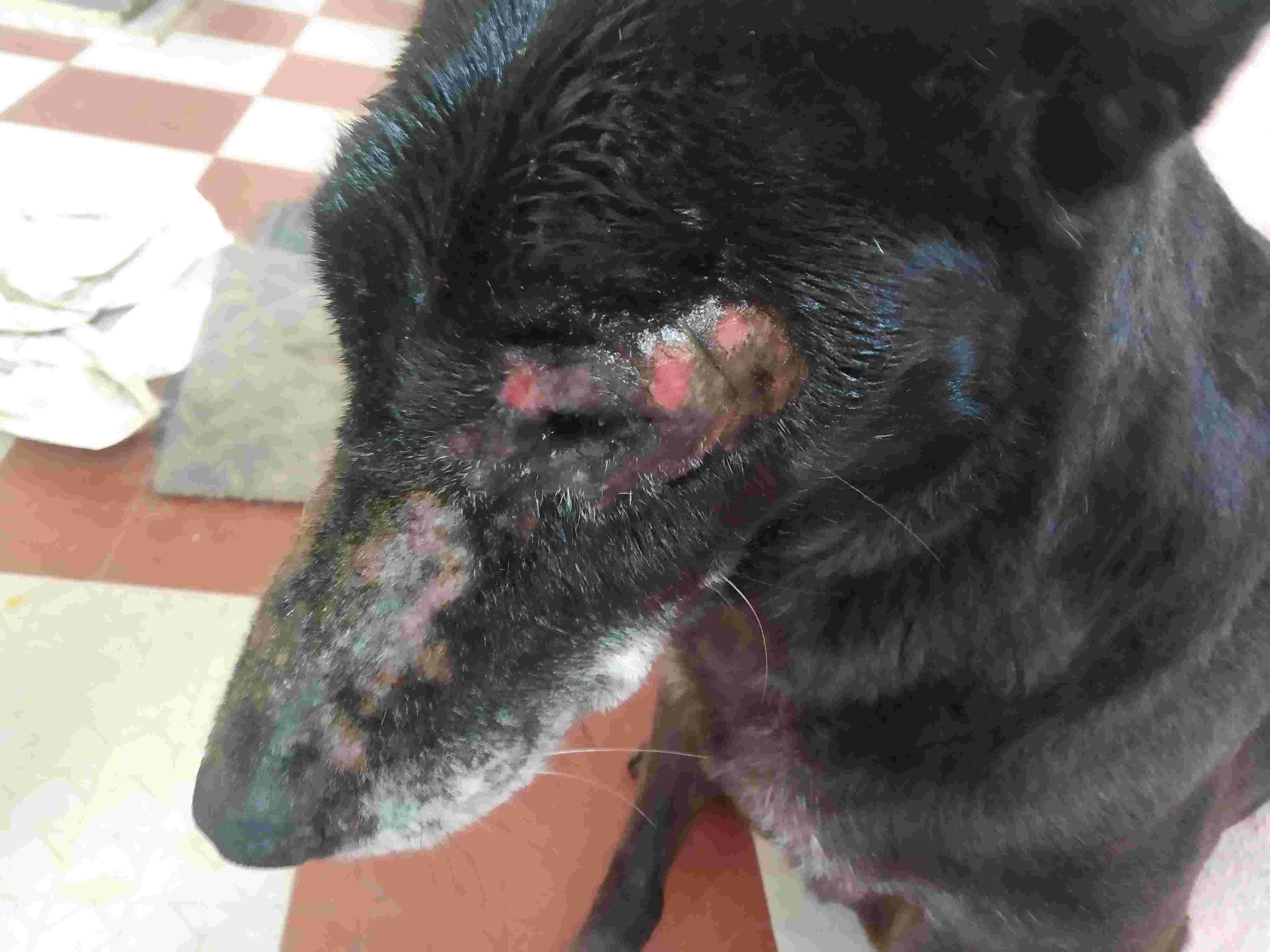 Question details sensitive content