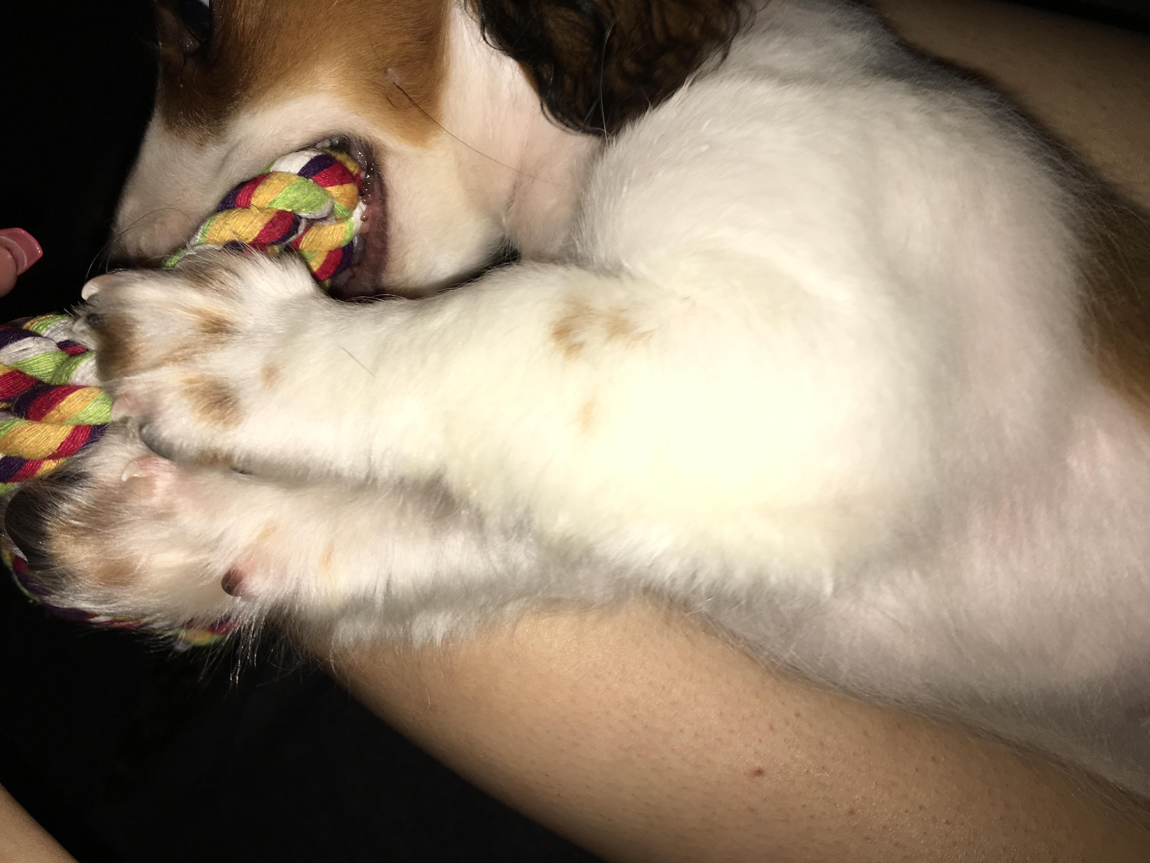 Question details sensitive content