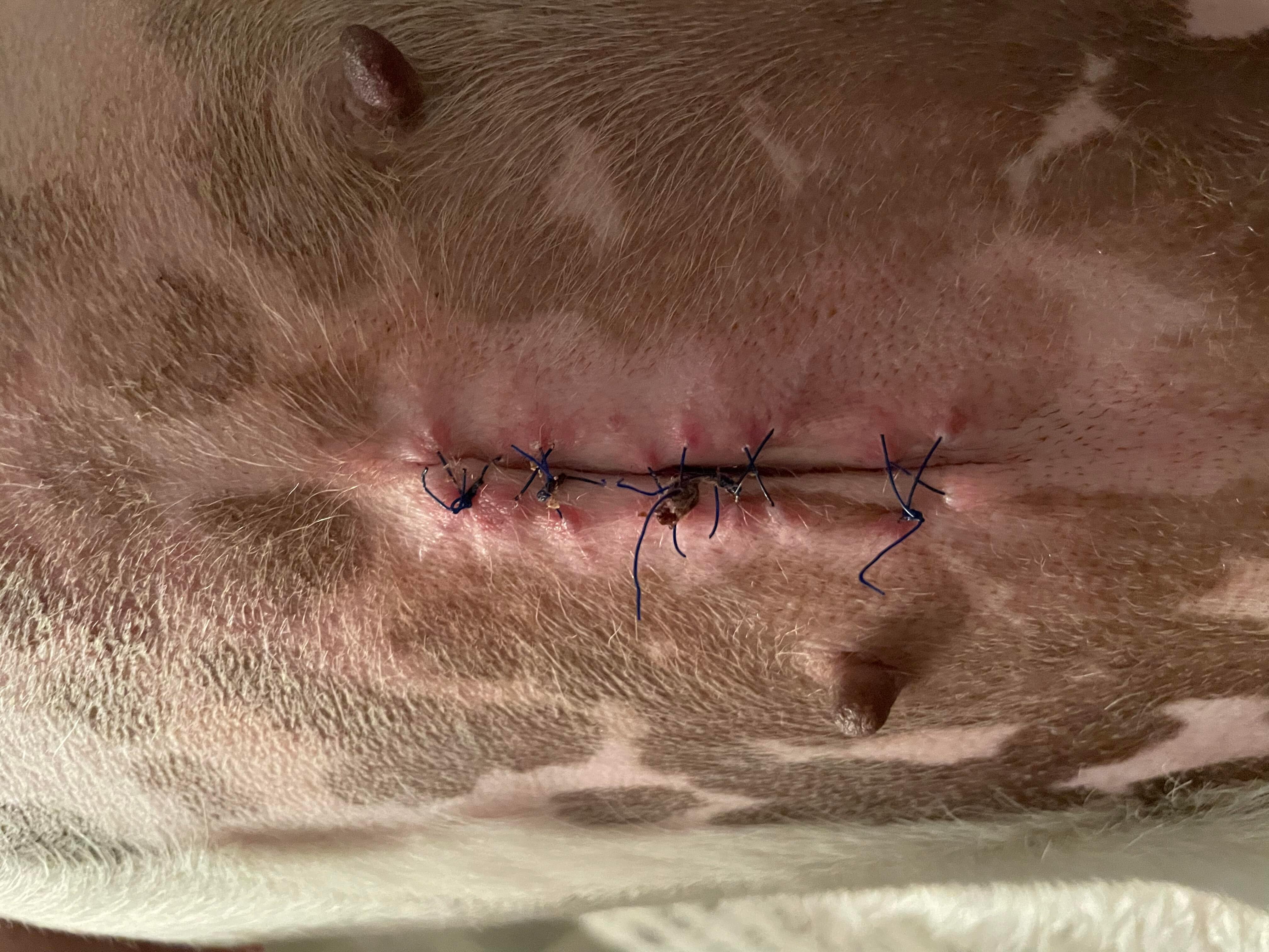 Question details sensitive content