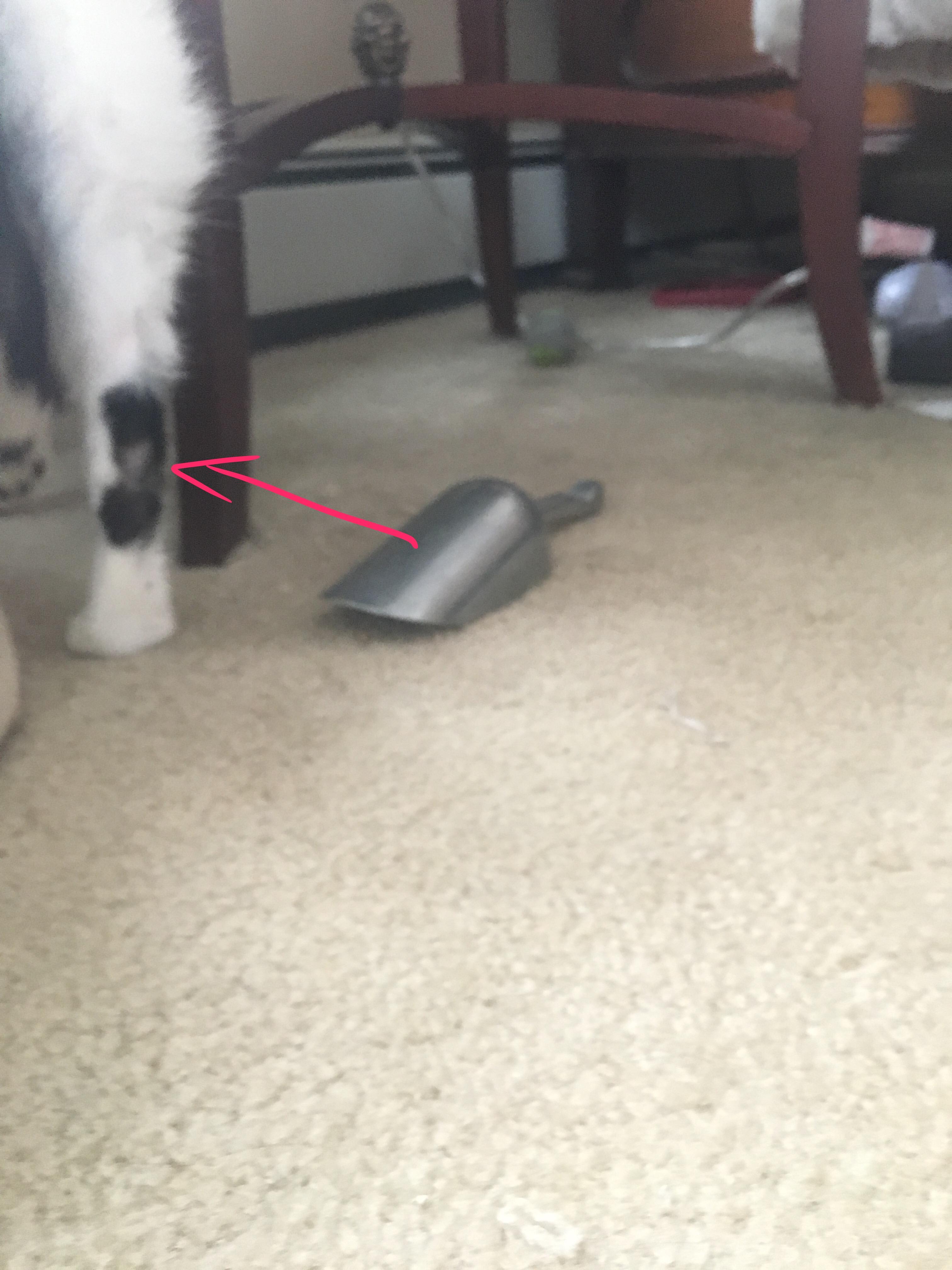 Question details sensitive content