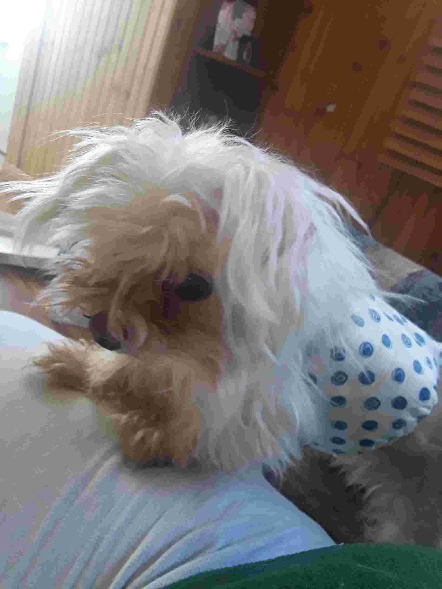 Question details sensitive content