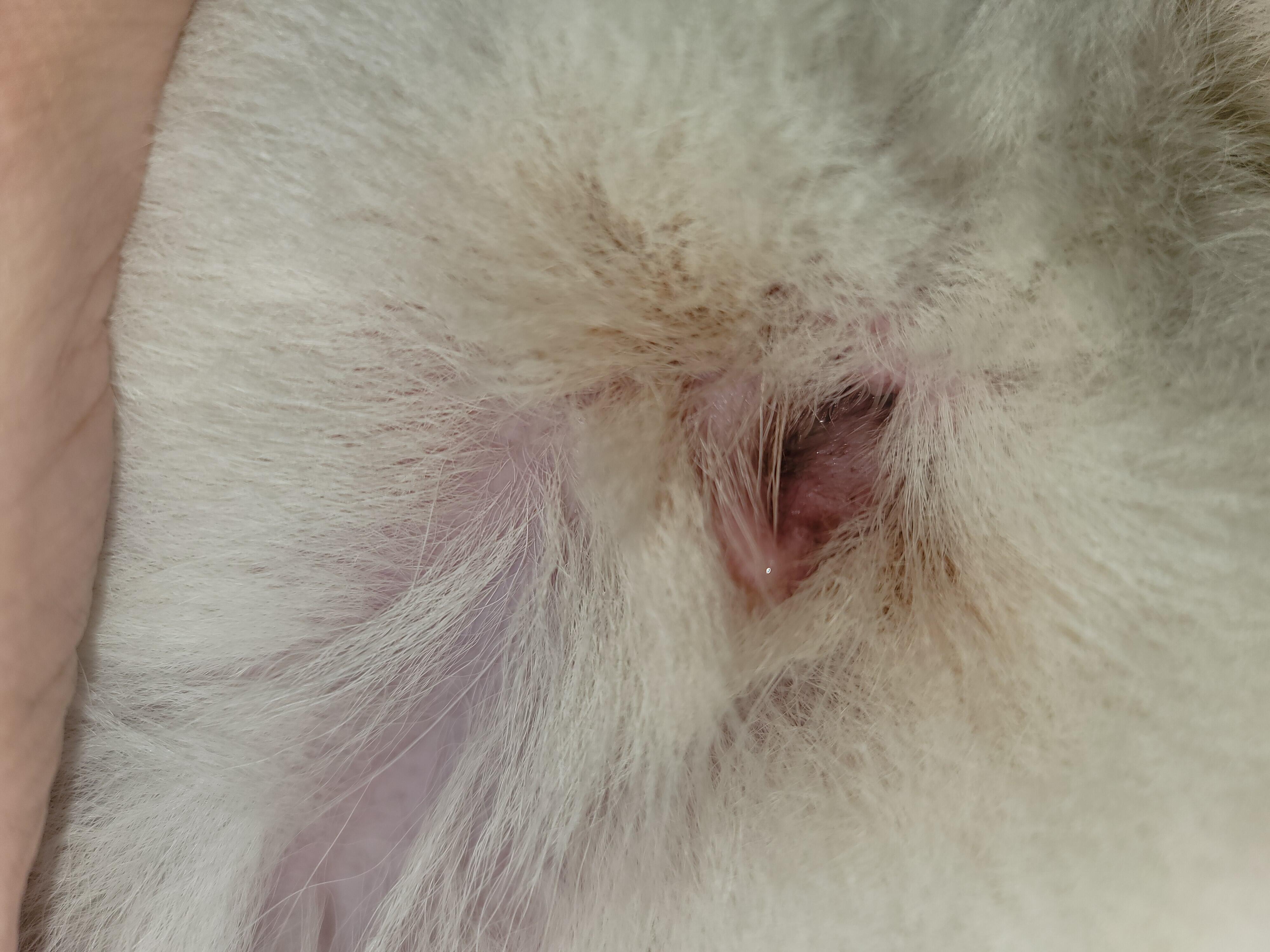 Question details sensitive content