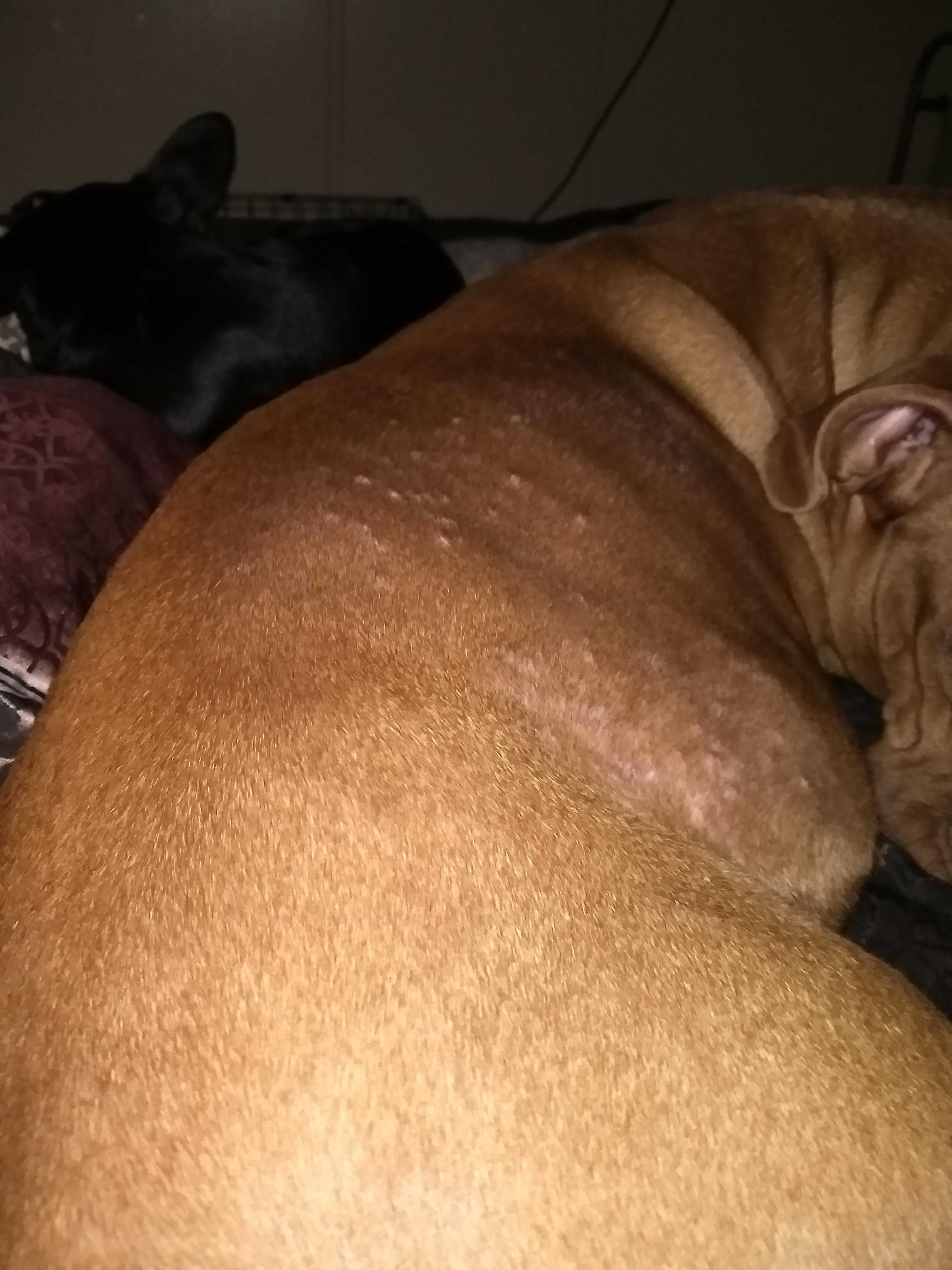 Question details sensitive content