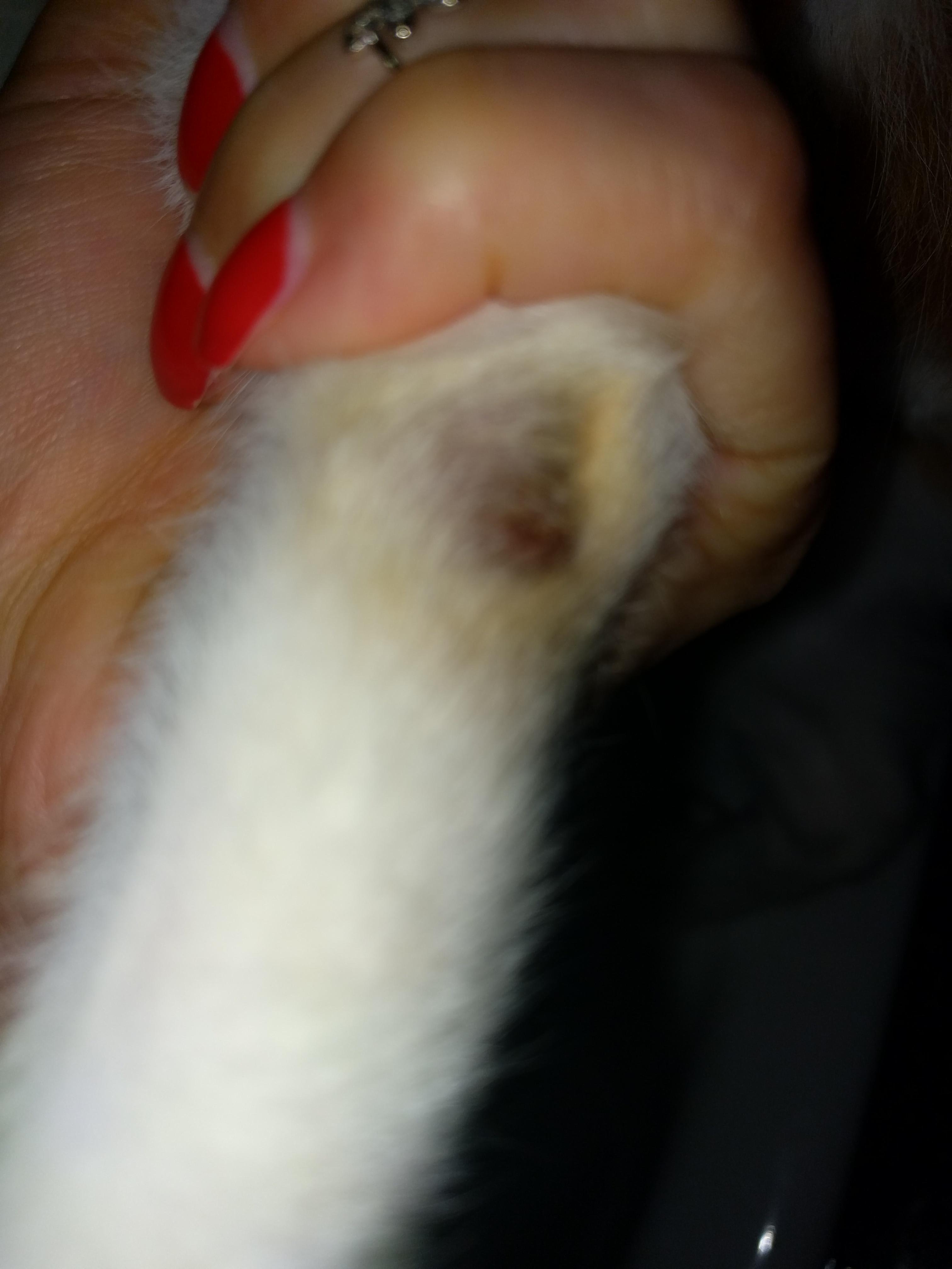 Question details sensitive content