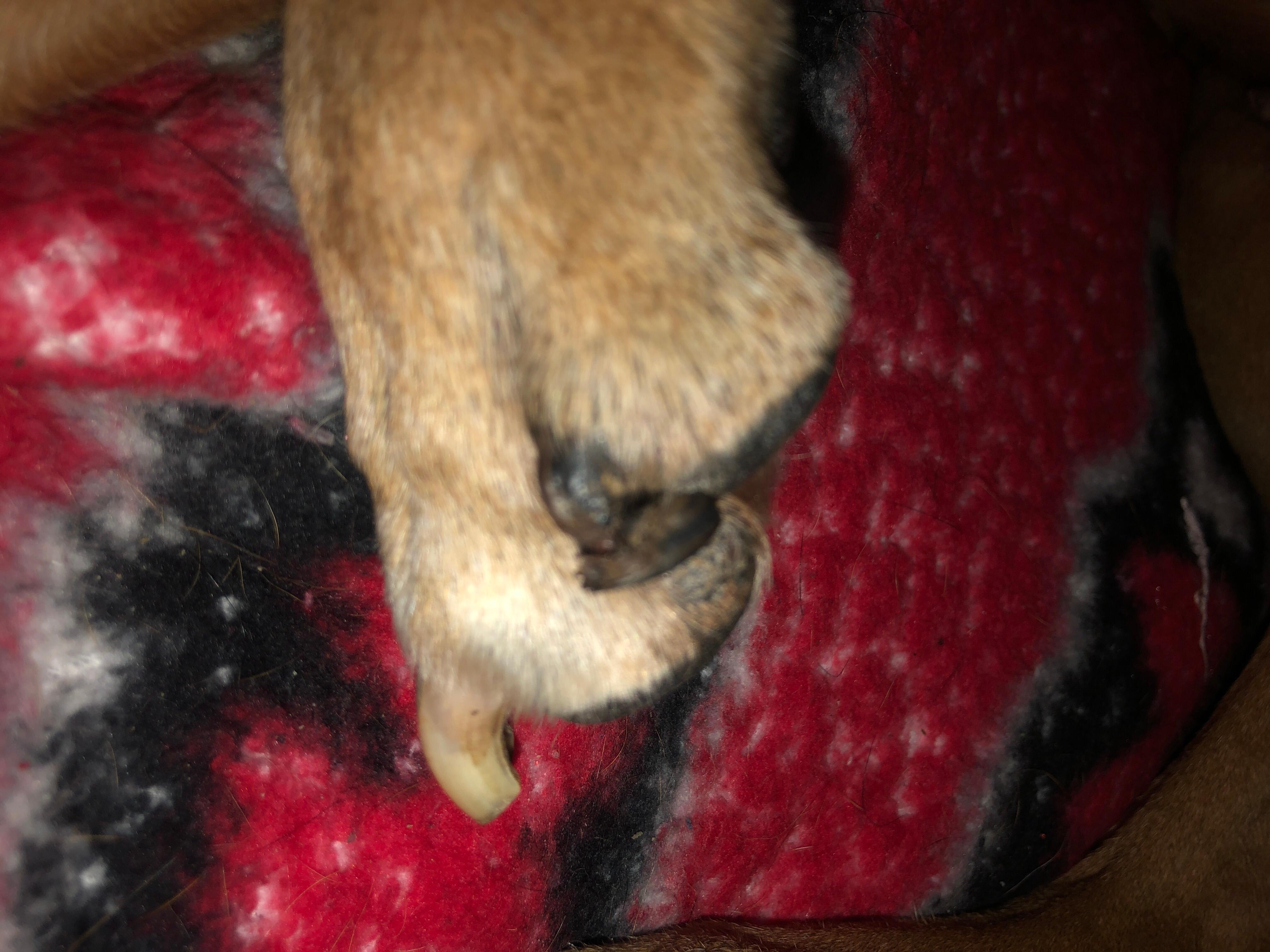 Question details sensitive content