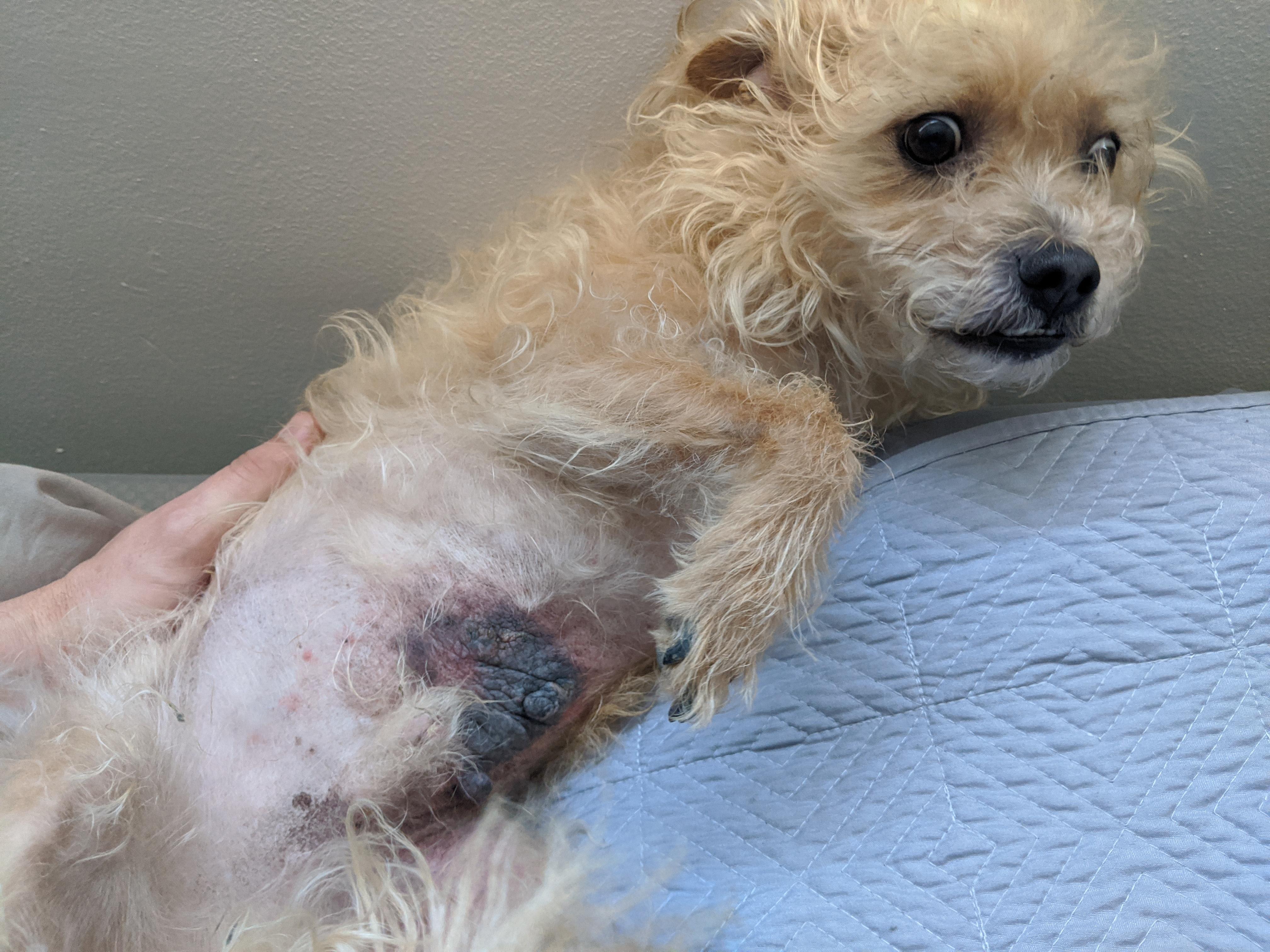 Question details sensitive content