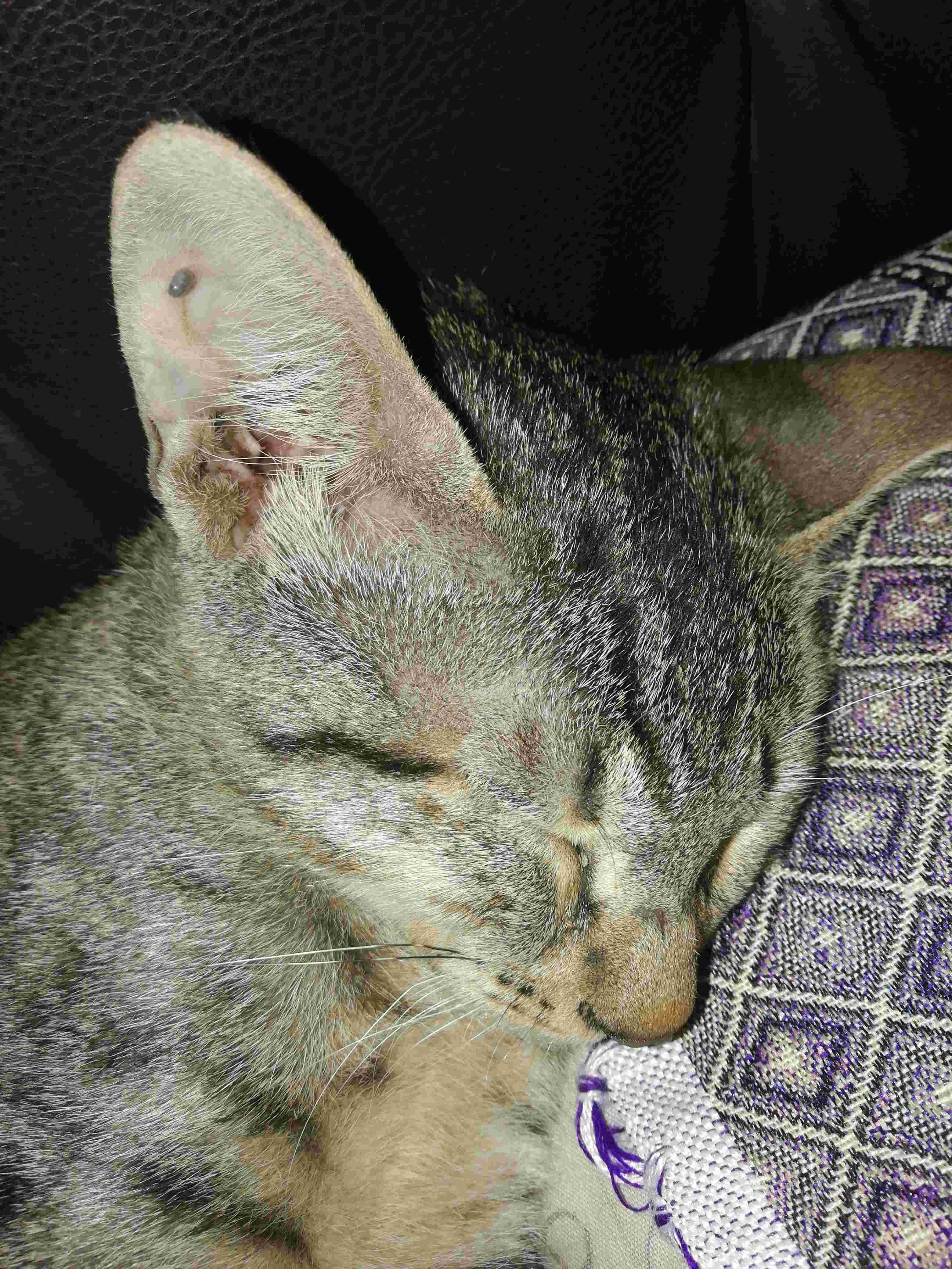 Question details sensitive content