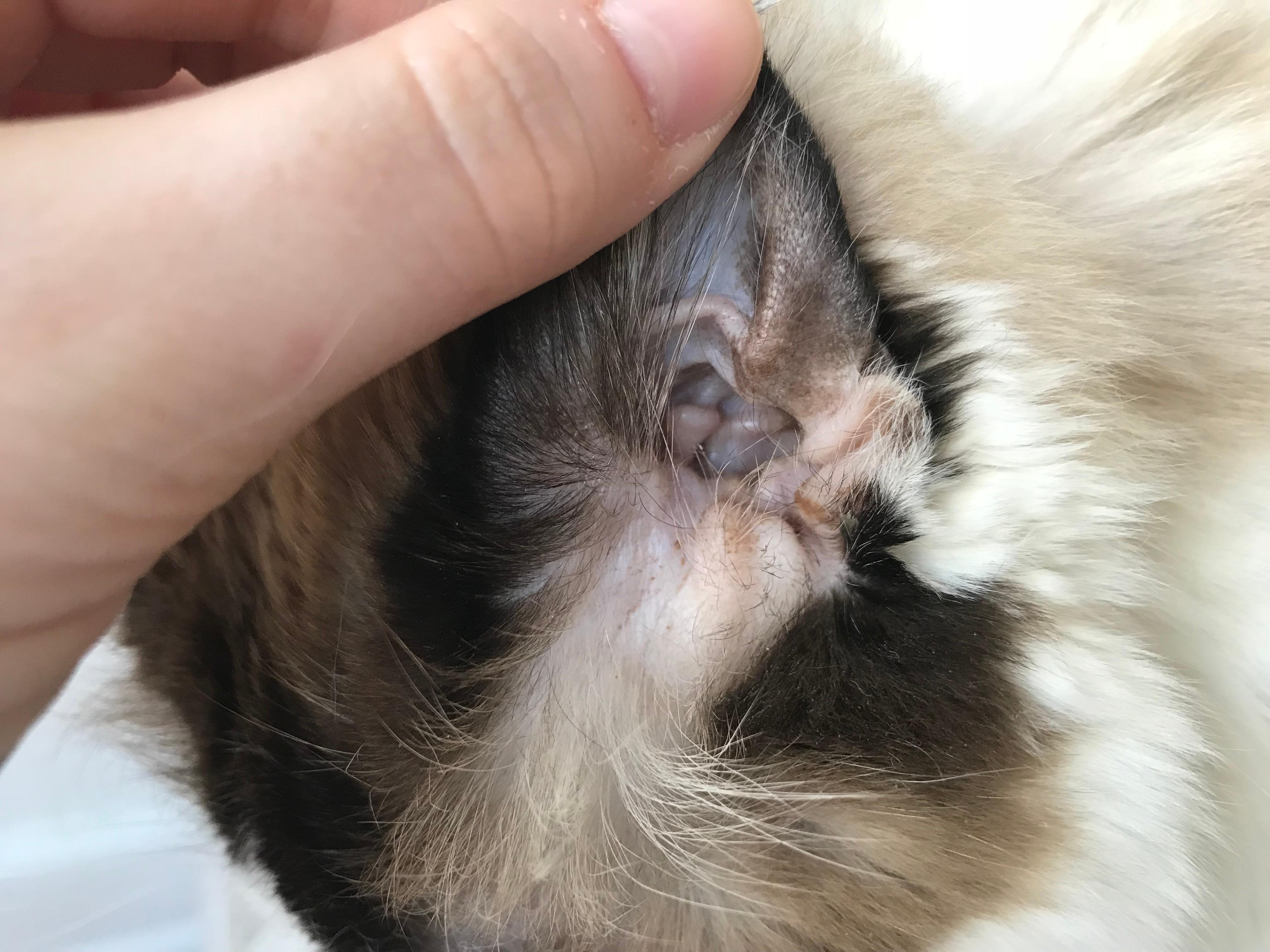 Question details sensitive content