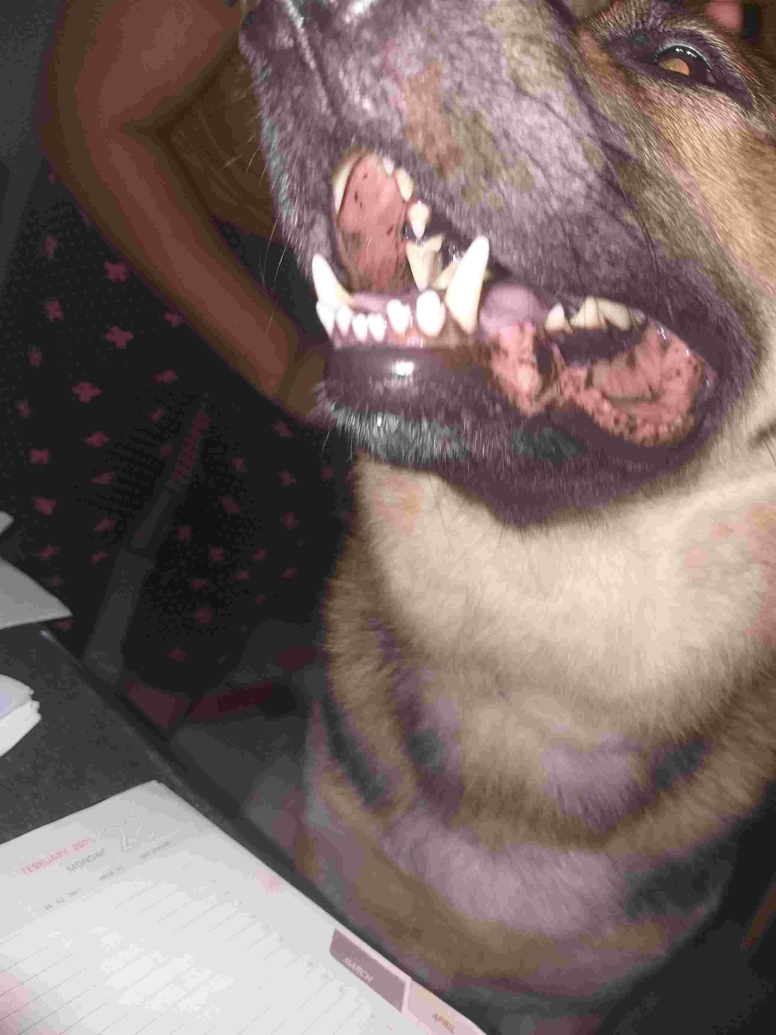 Question details sensitive content