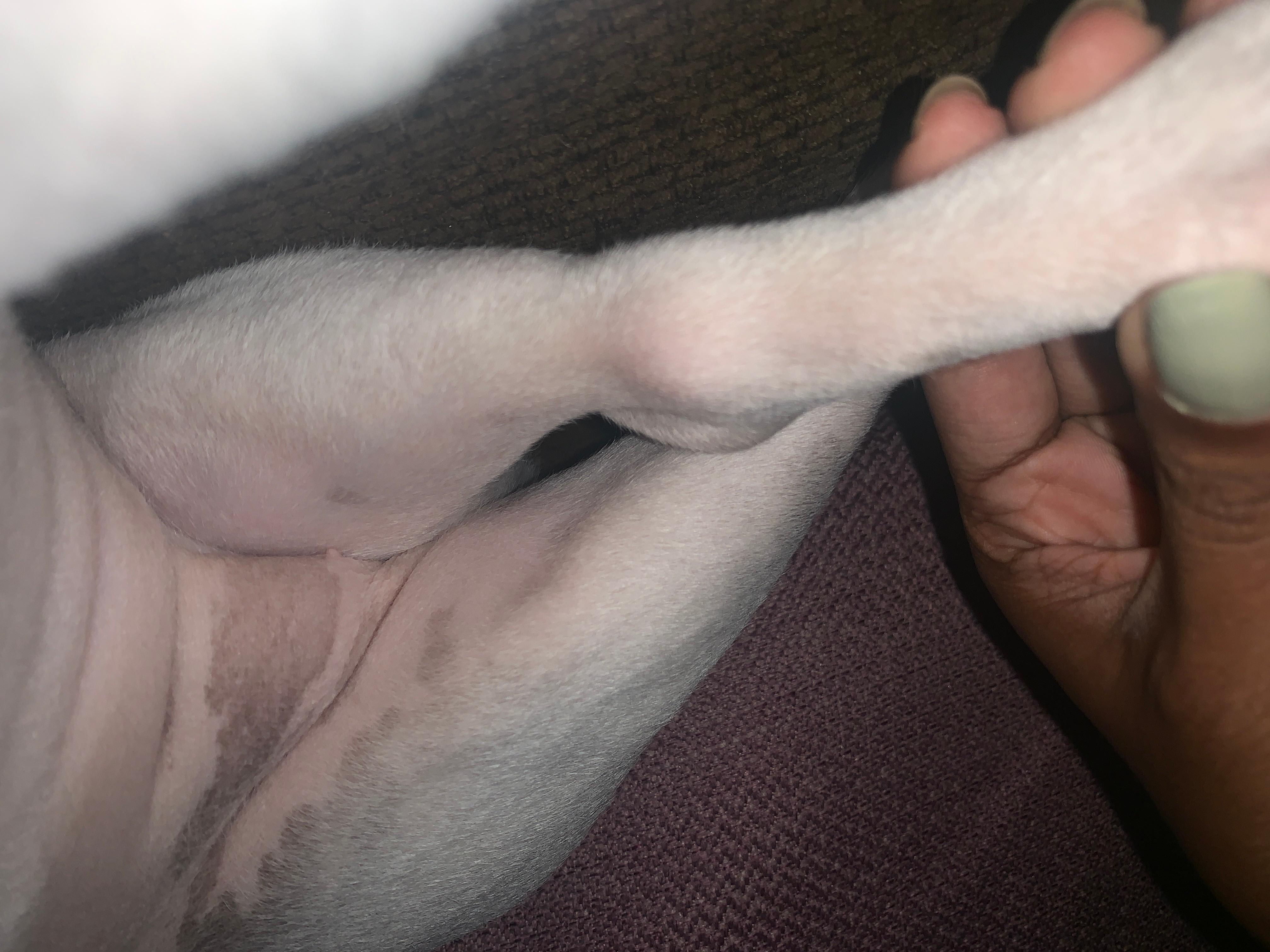 Question details sensitive content