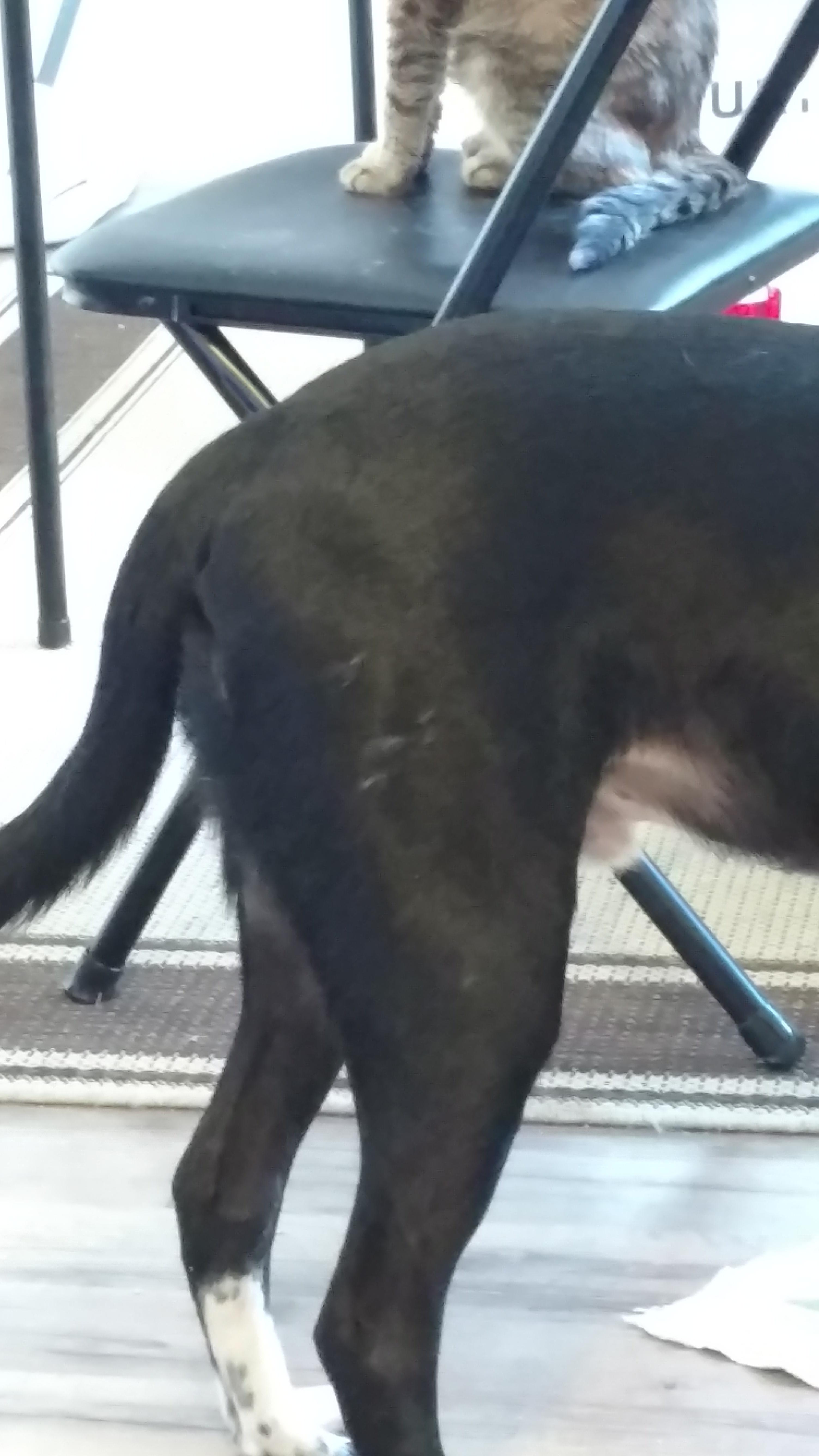 Question details sensitive content