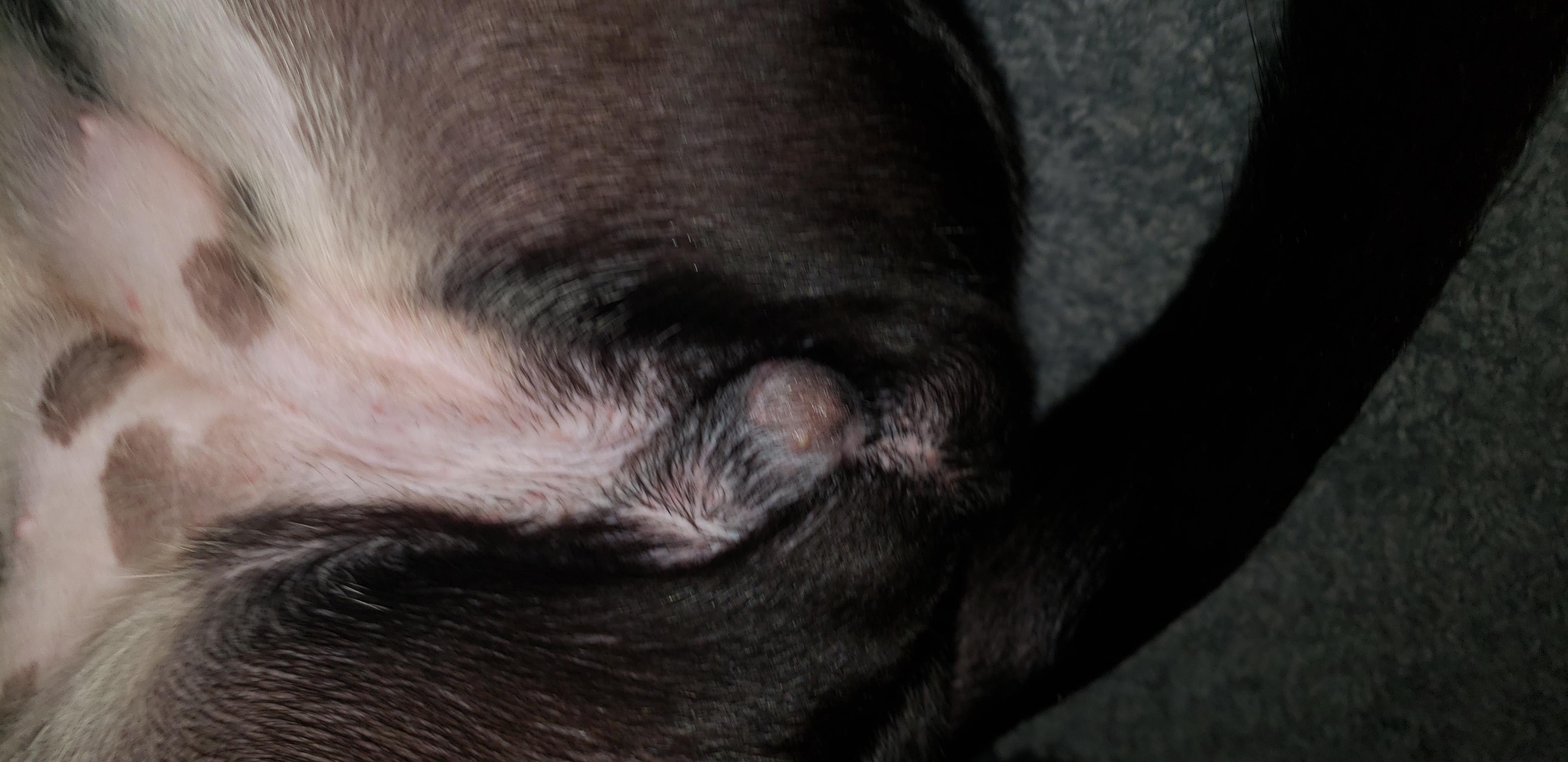 Question details sensitive content