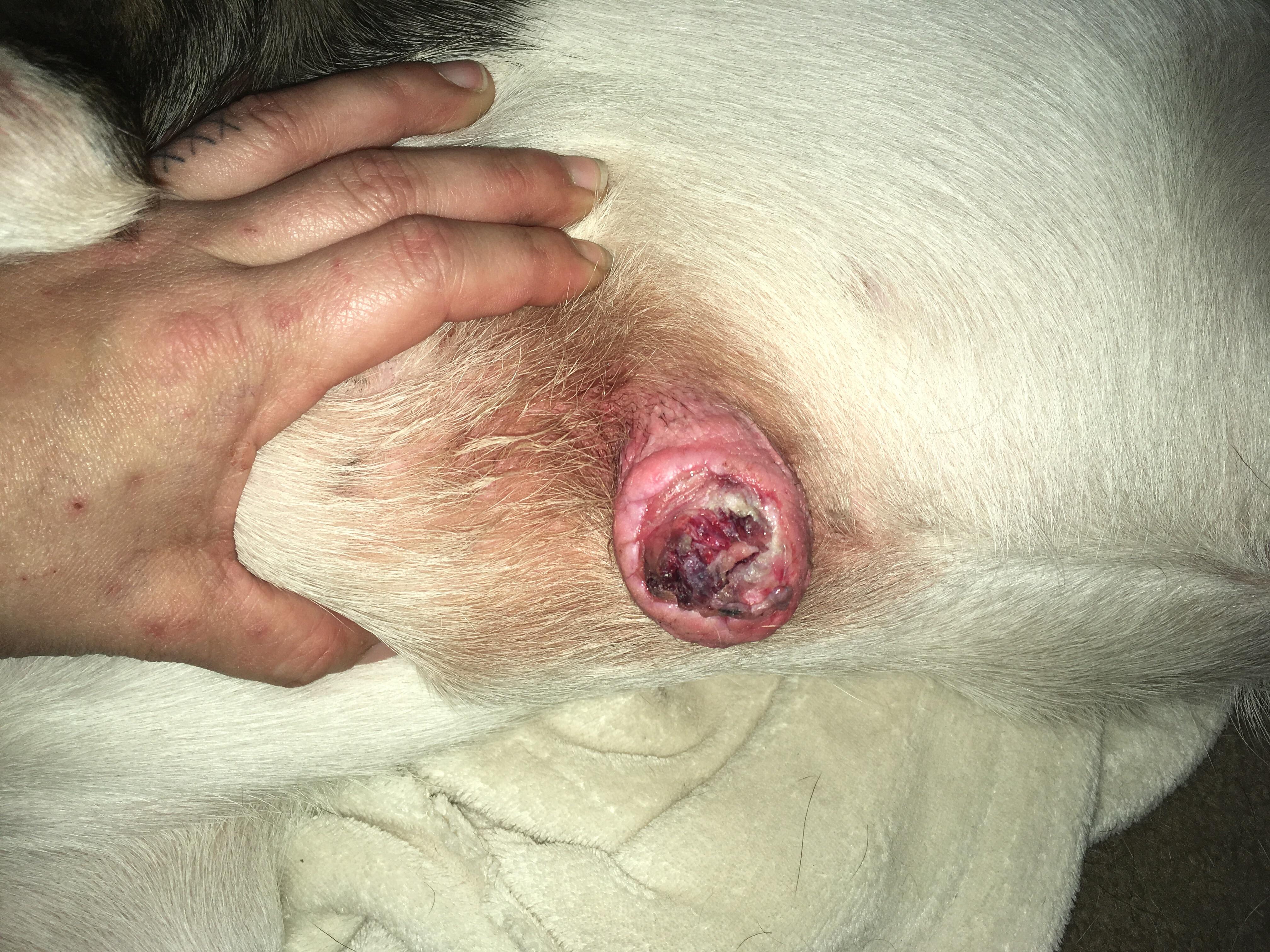 Question details sensitive content