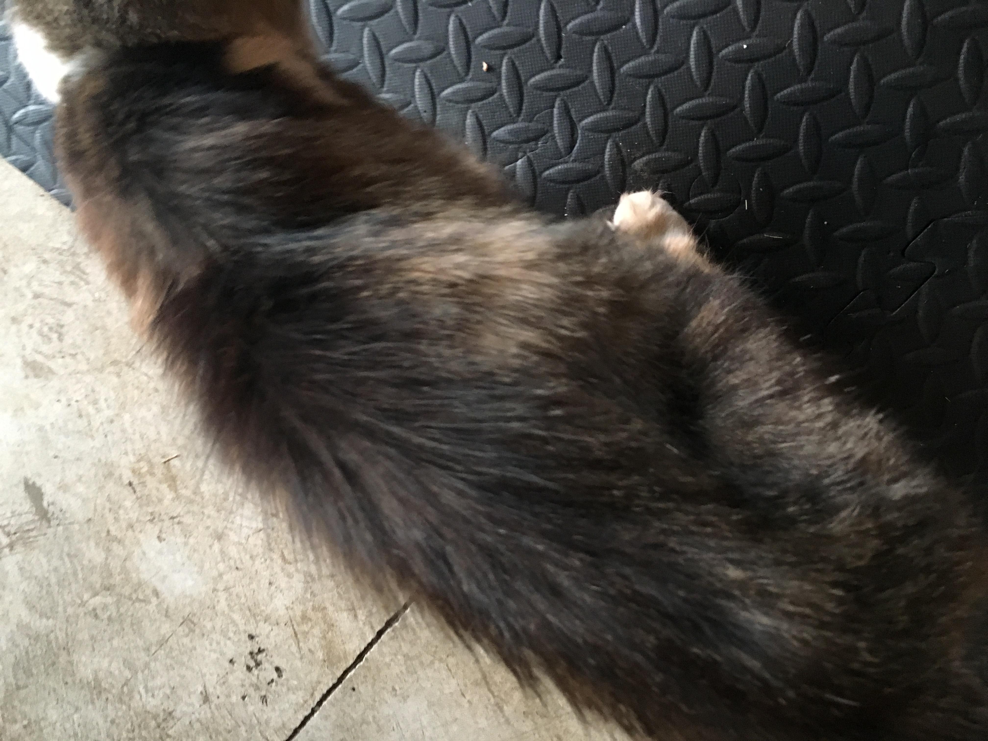 Question details sensitive content