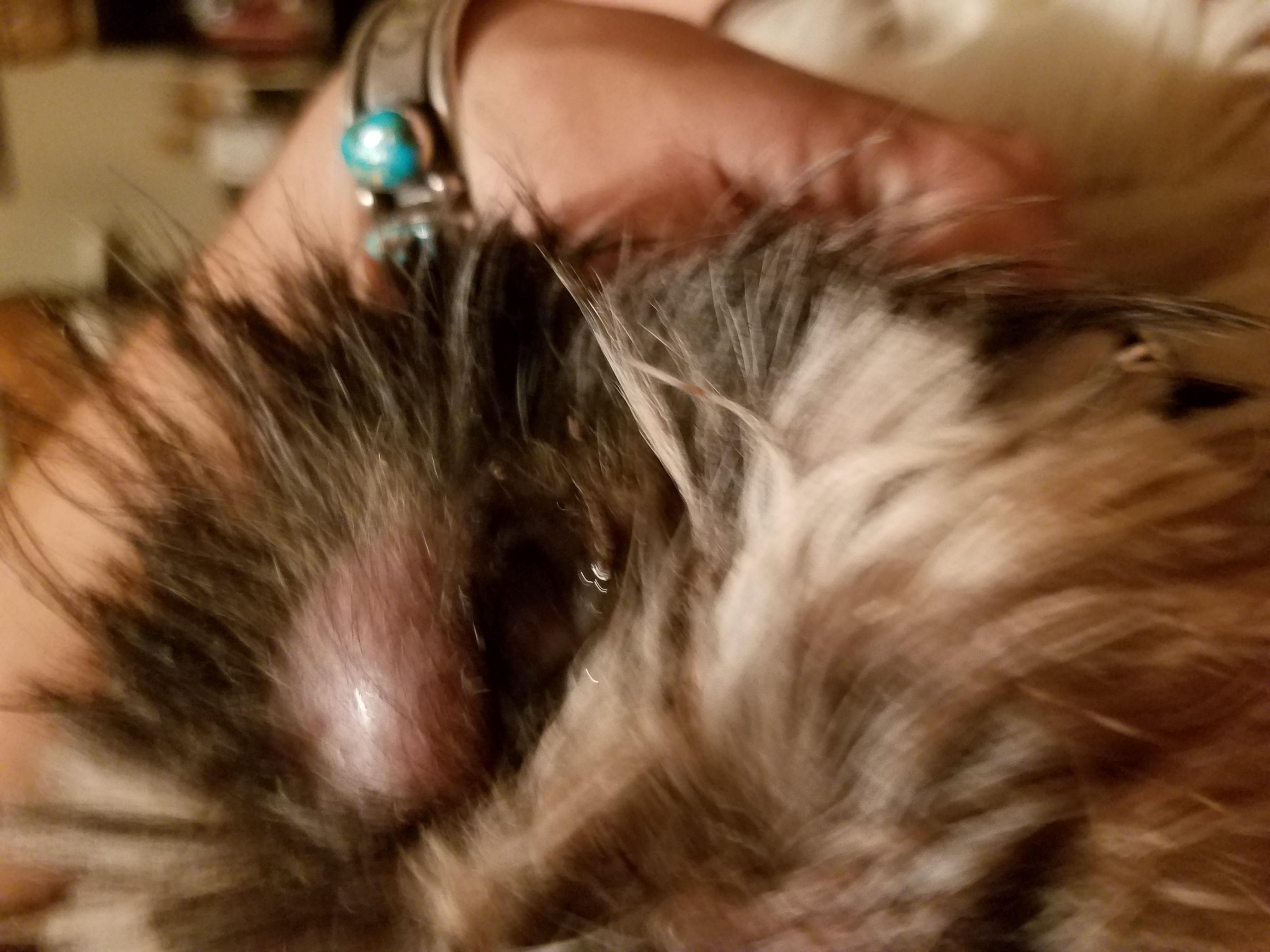 Question details sensitive content