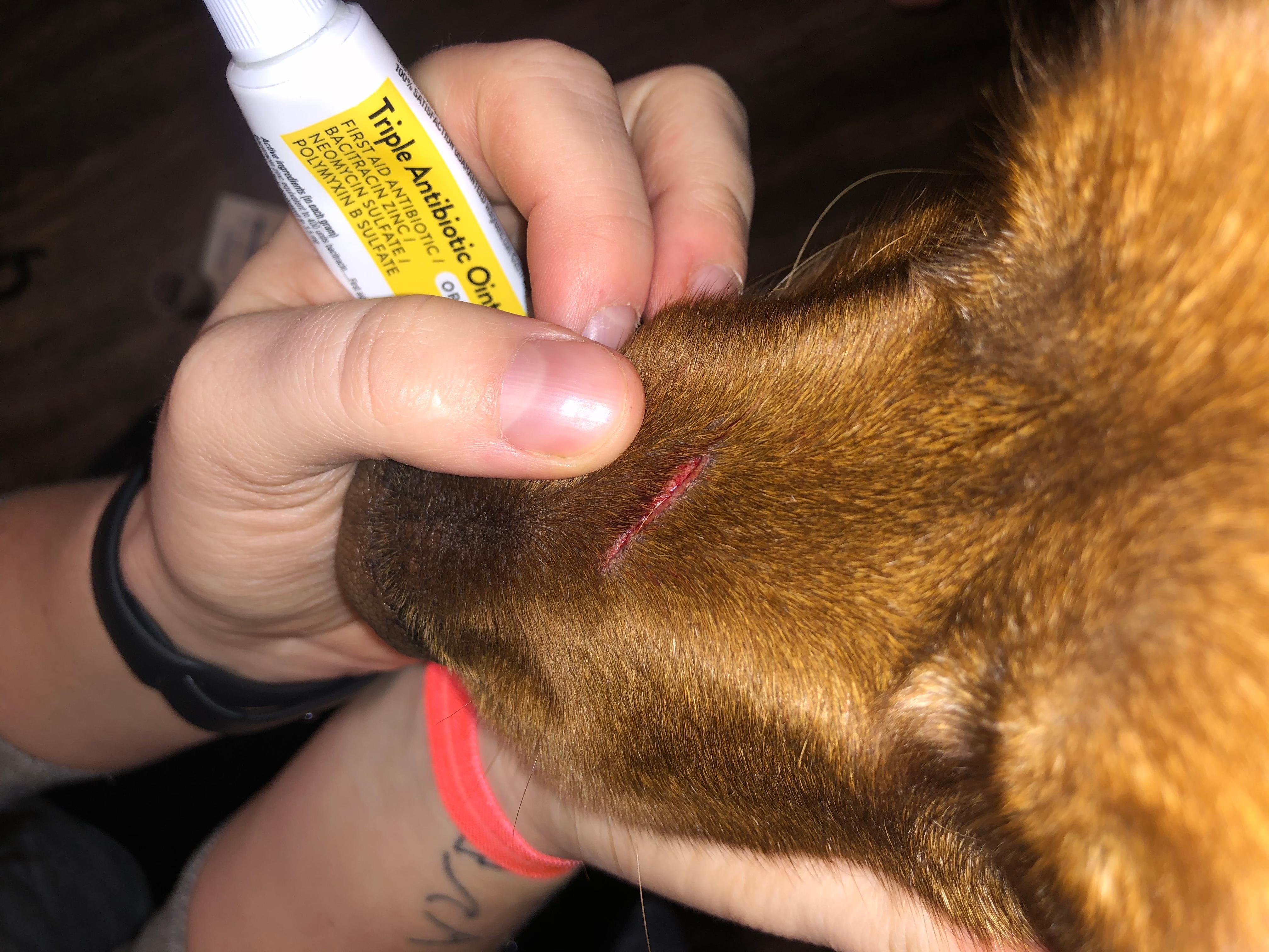 Question details sensitive content