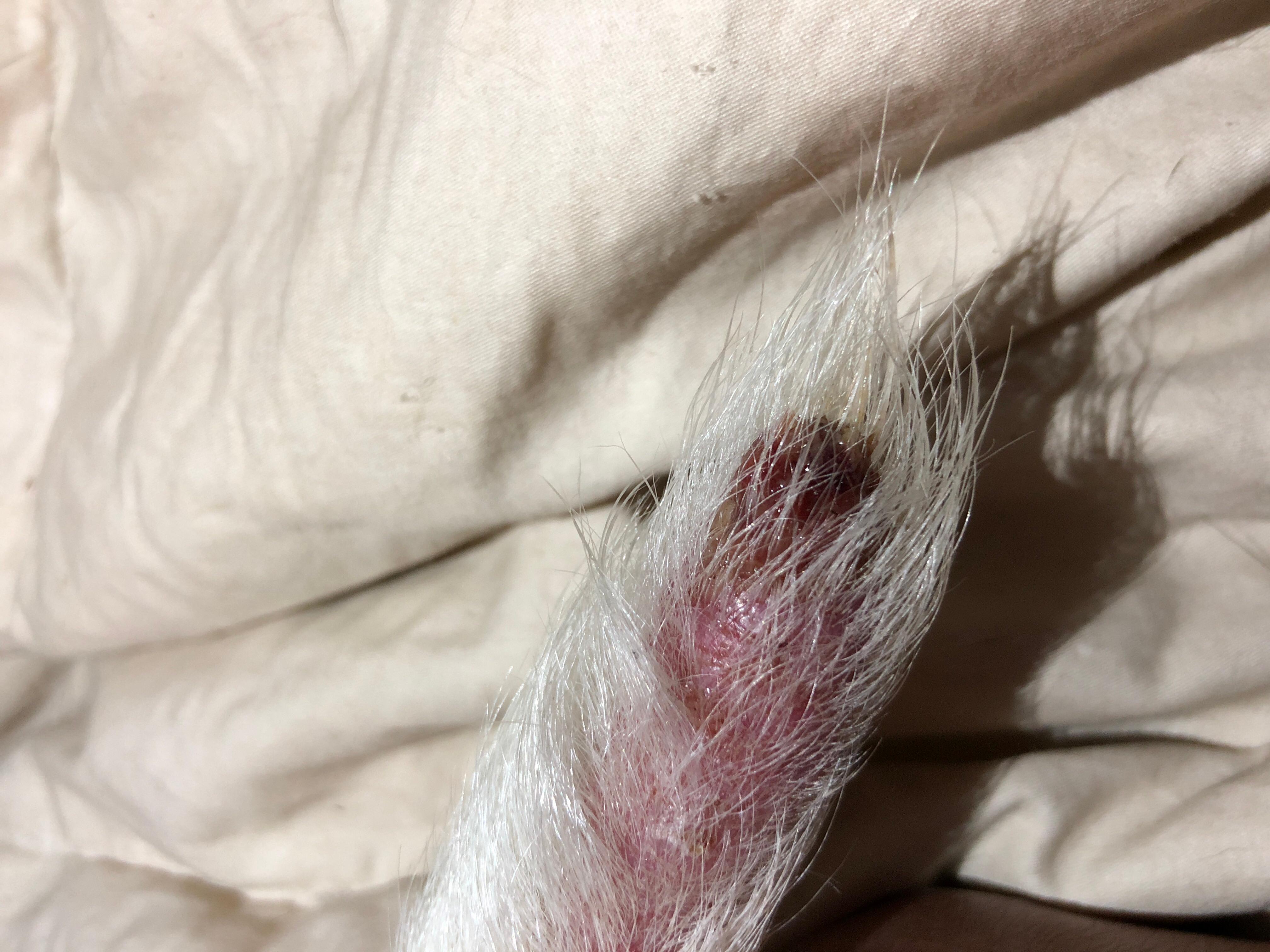 Question details sensitive content