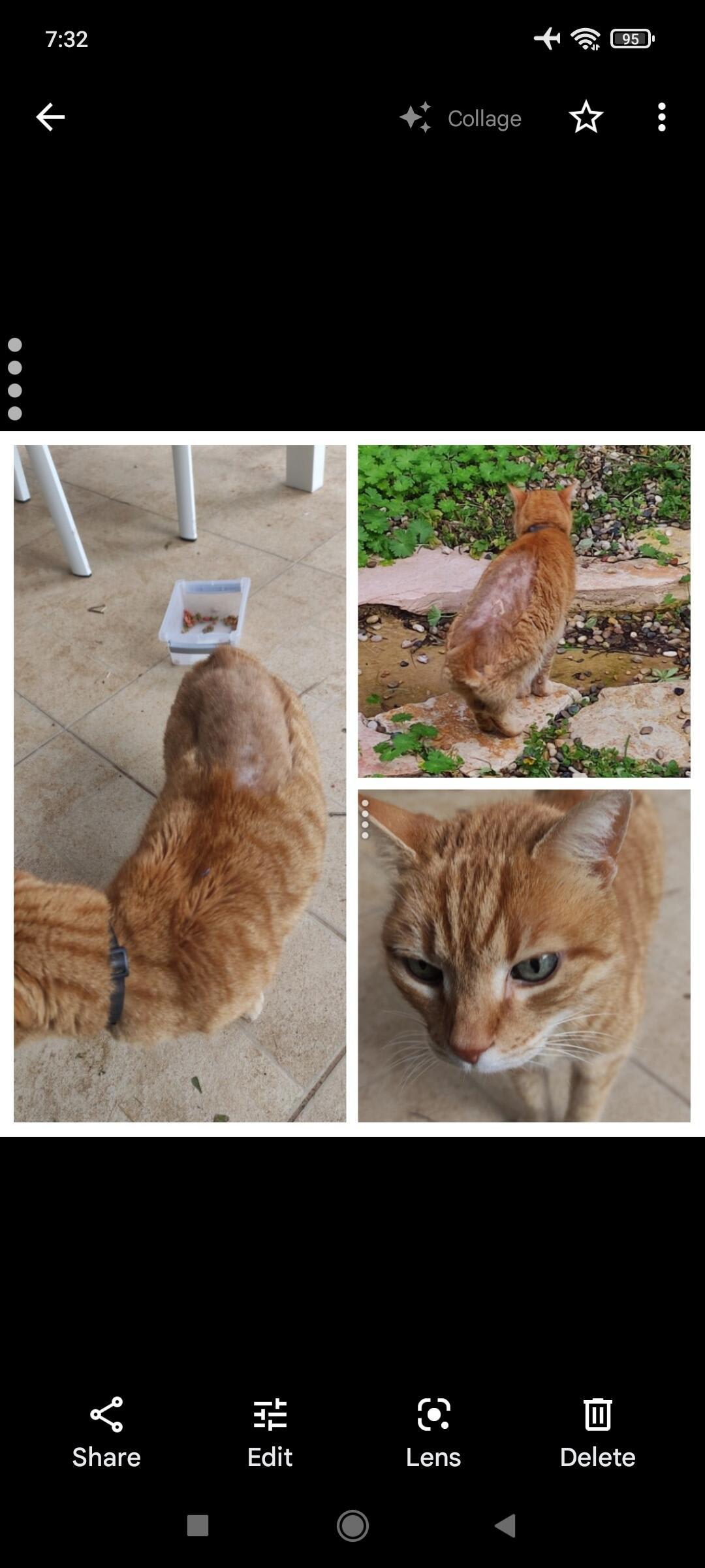 Question details sensitive content