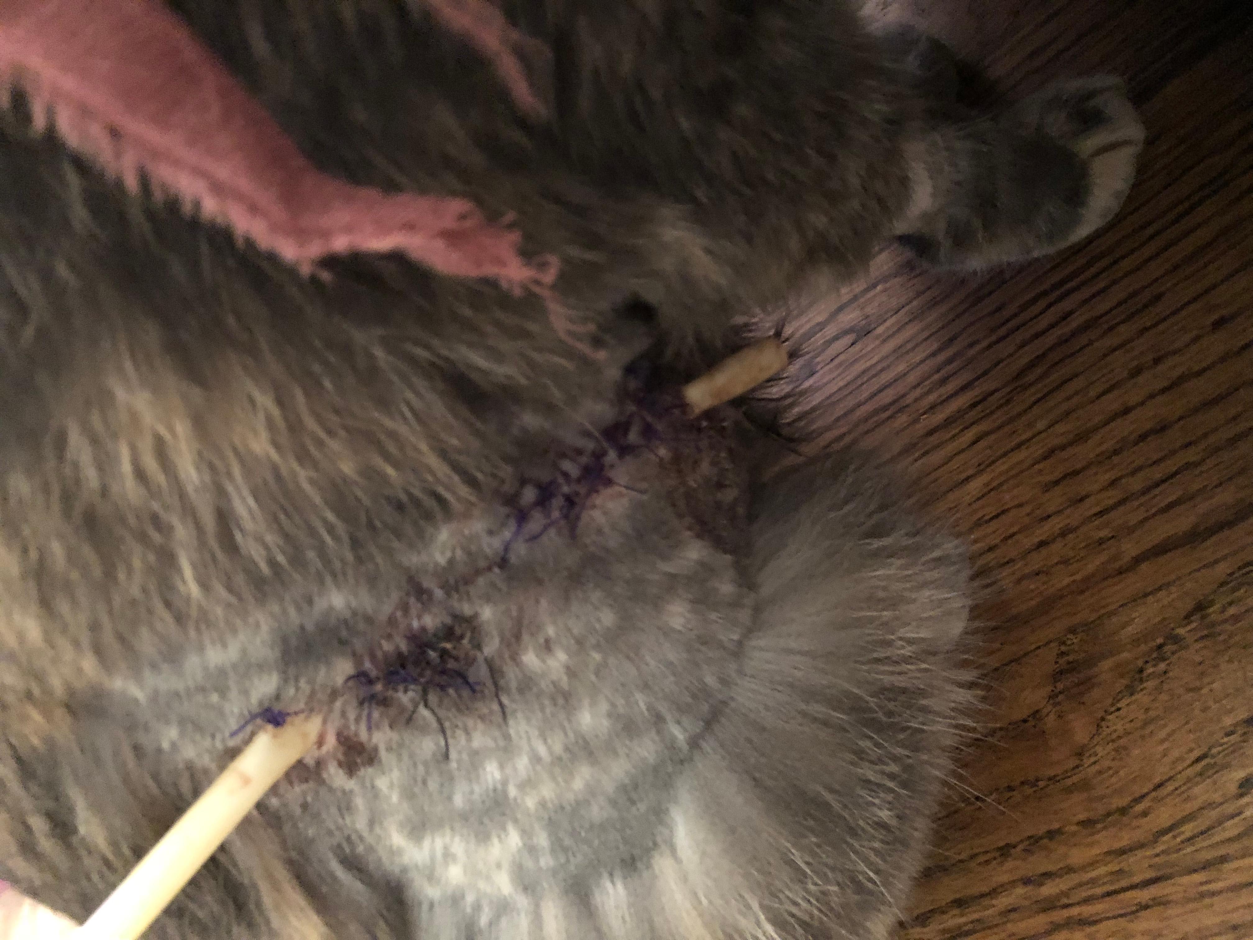 Question details sensitive content