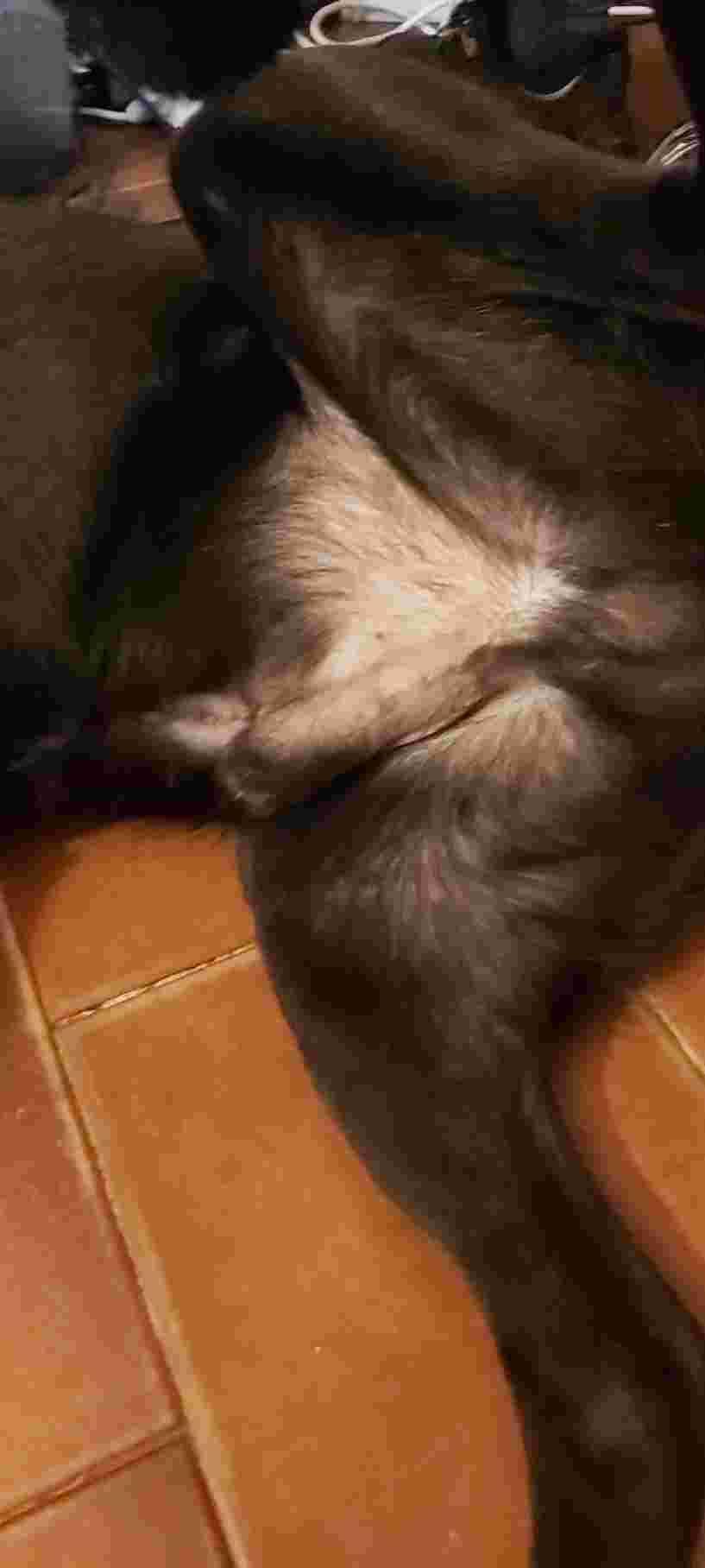 Question details sensitive content