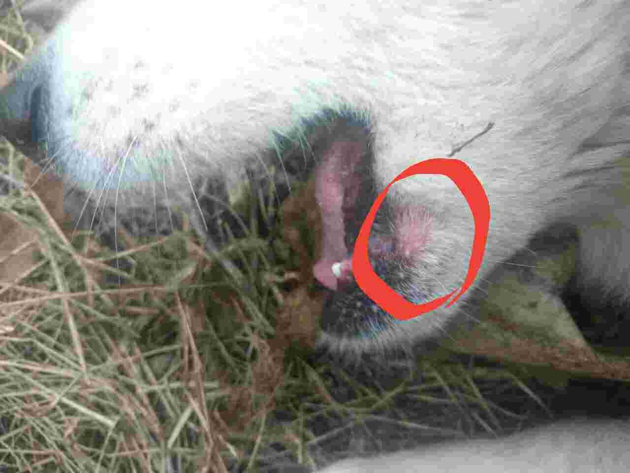 Question details sensitive content