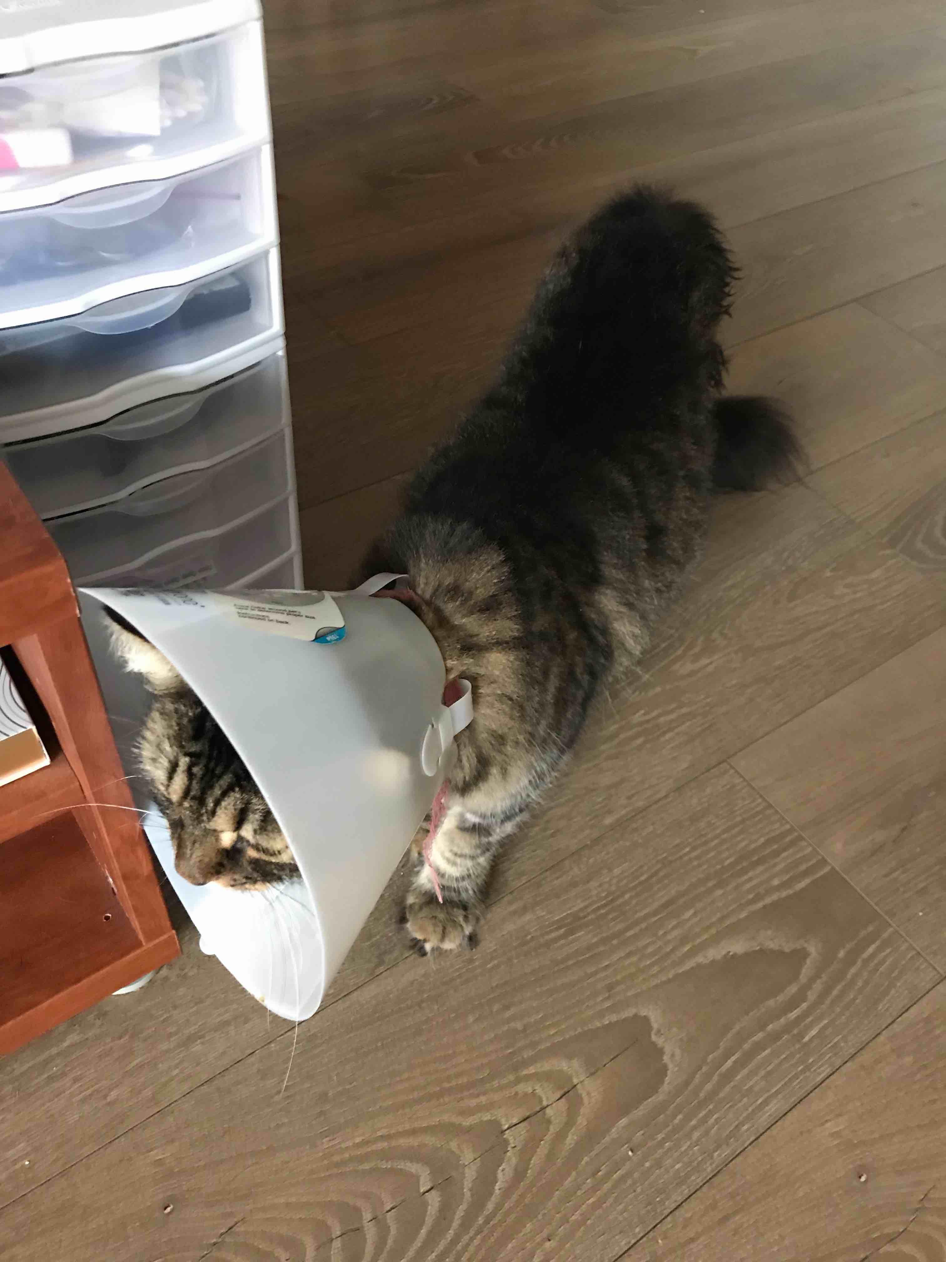 Question details sensitive content