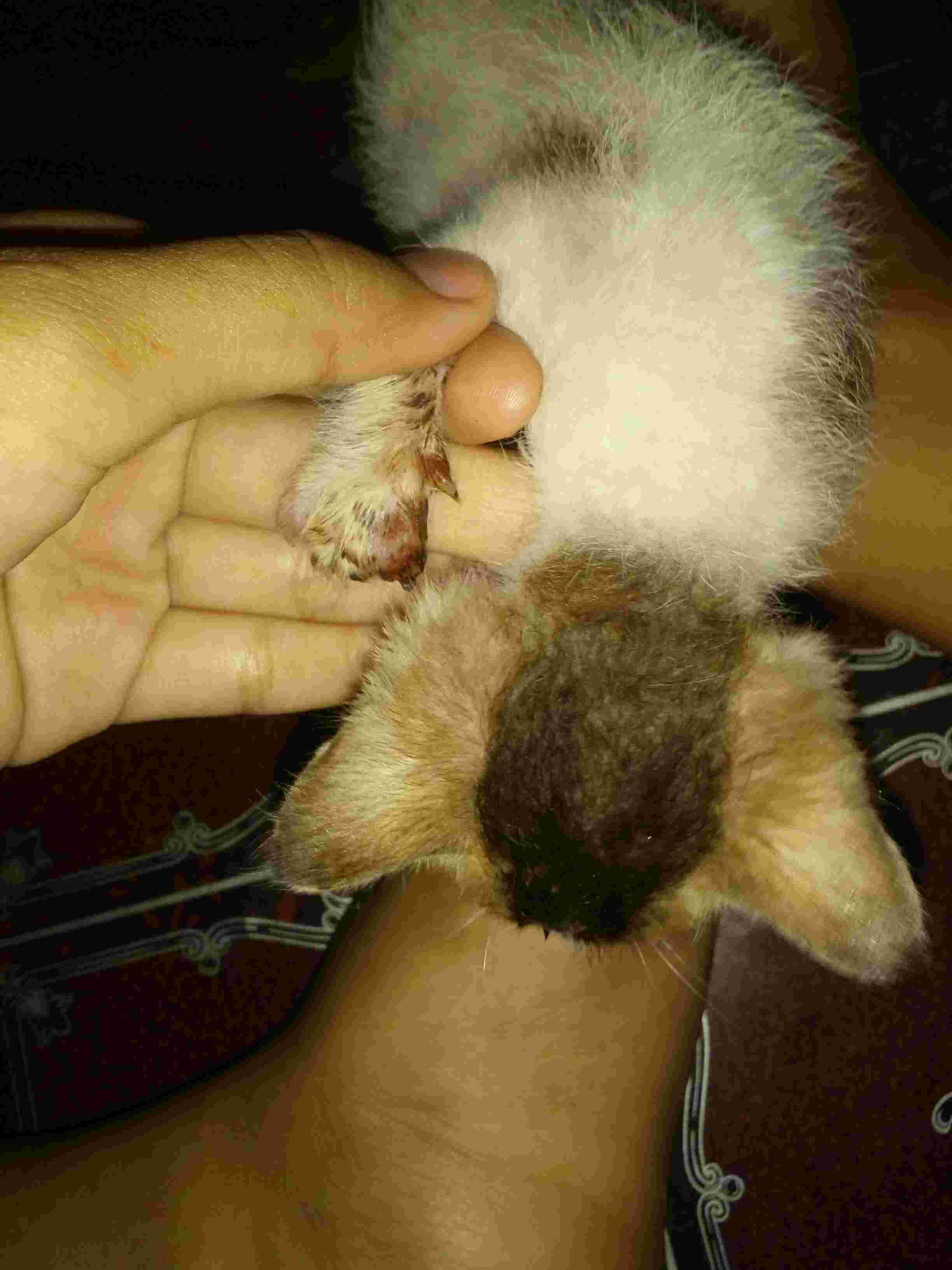 Question details sensitive content