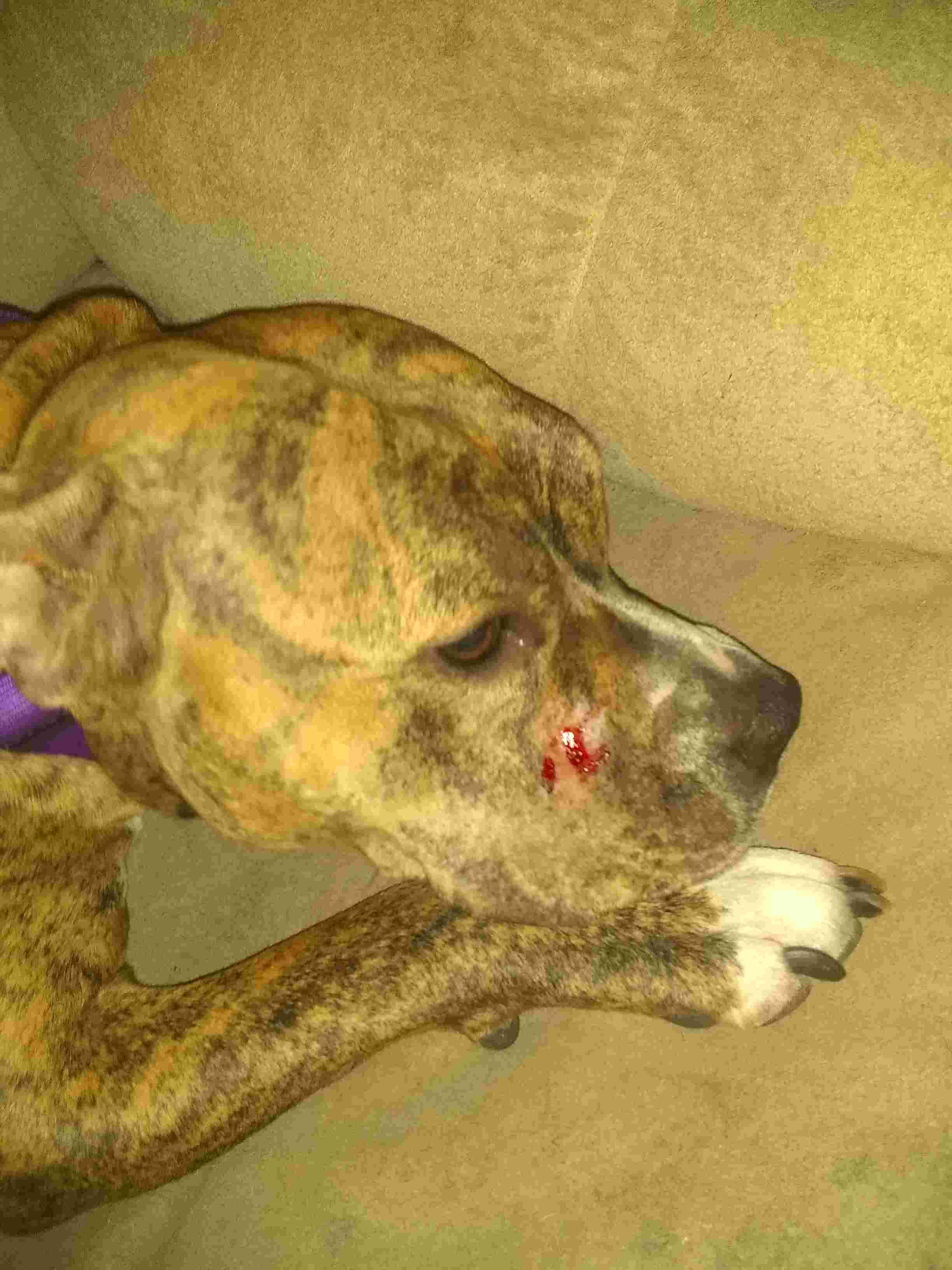 Question details sensitive content