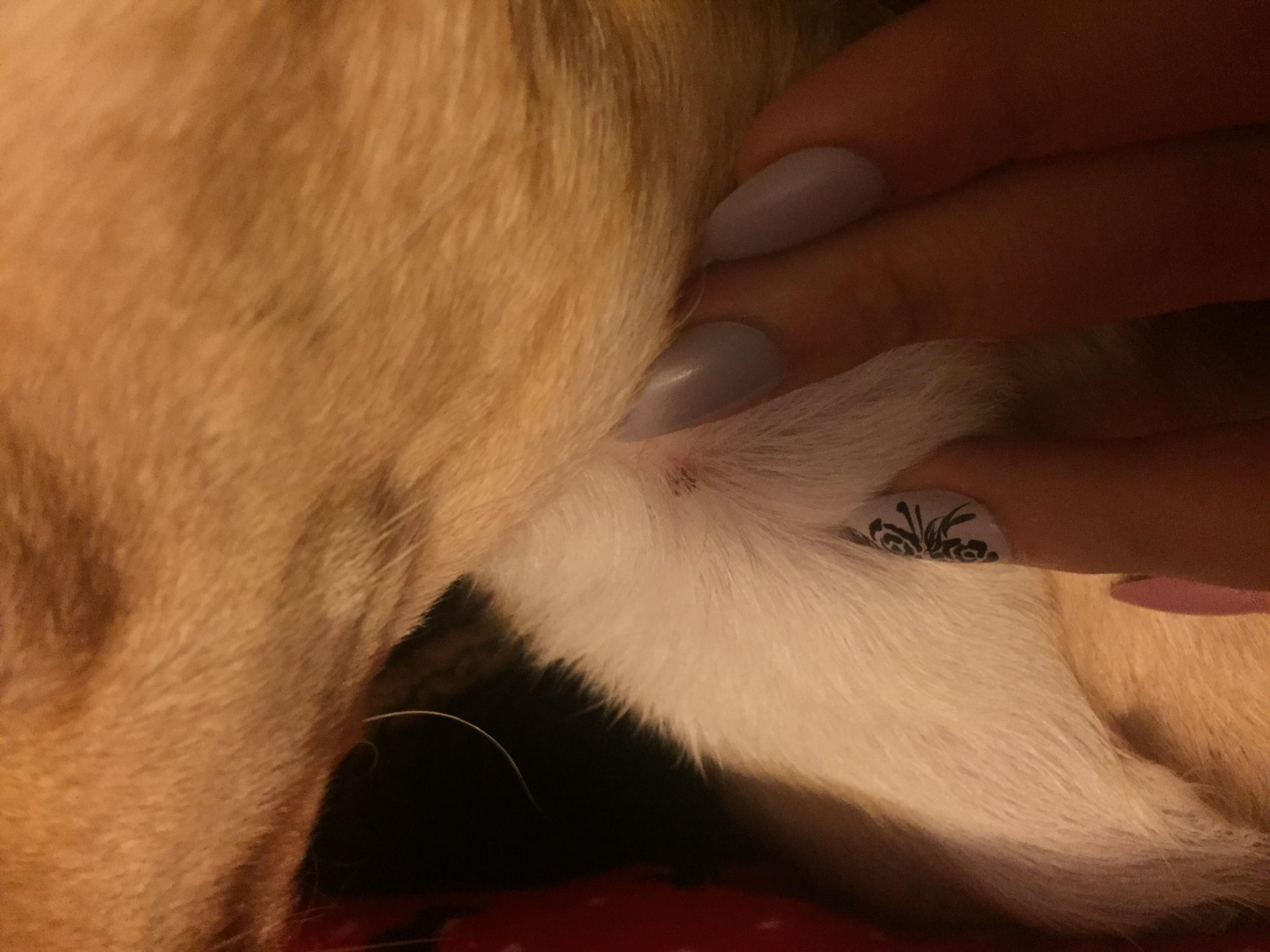 Question details sensitive content