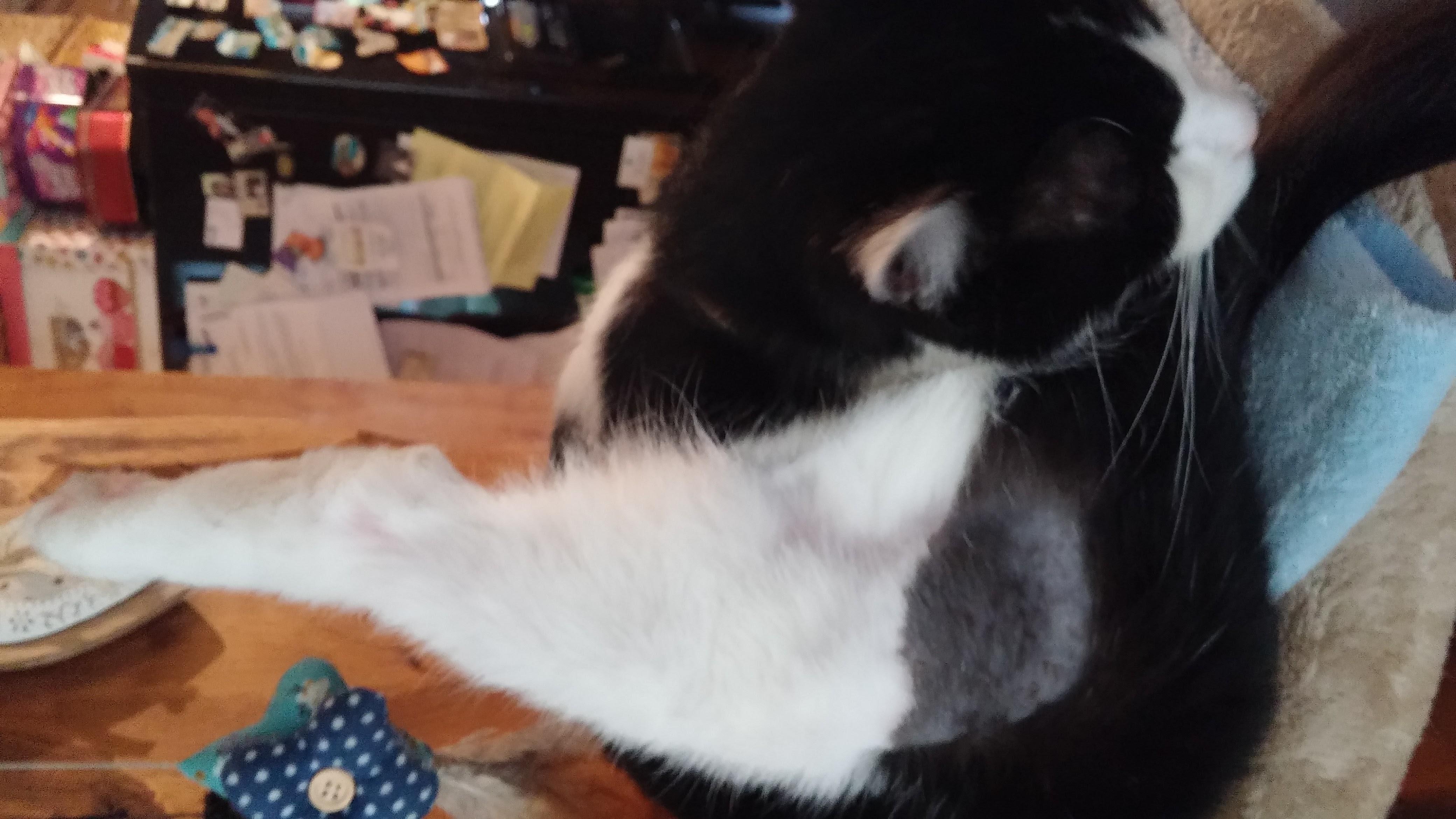 Question details sensitive content