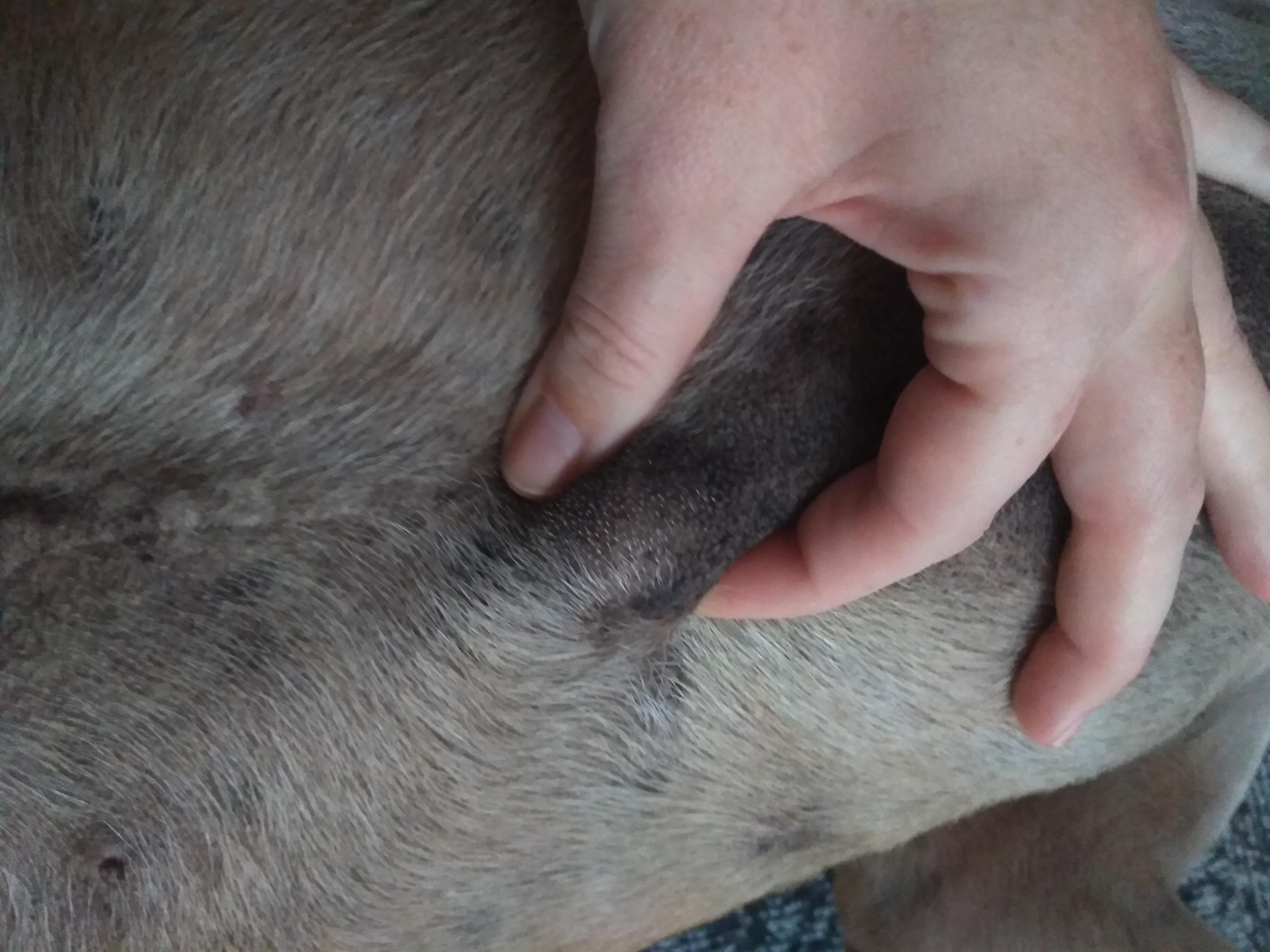 Question details sensitive content