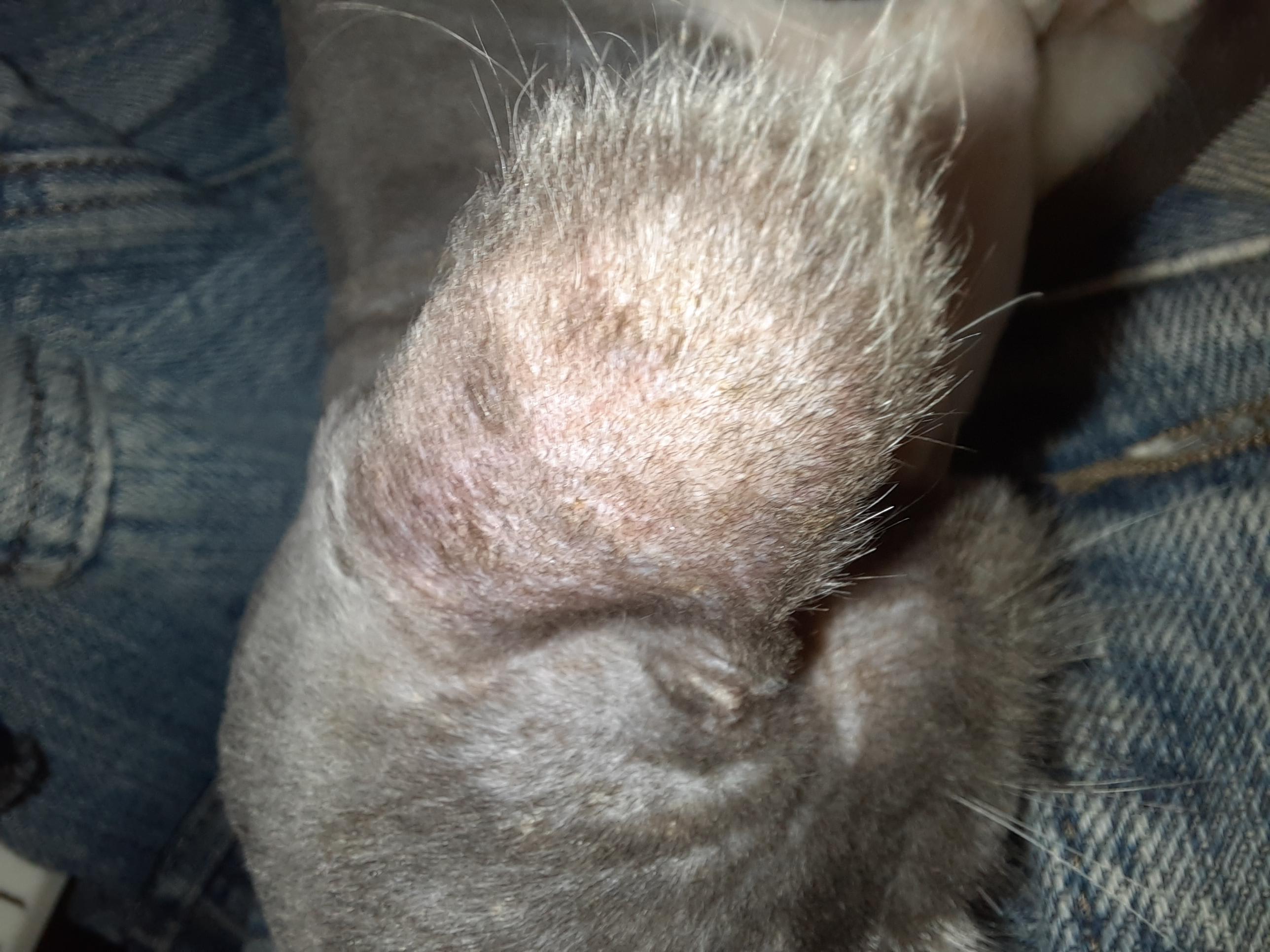 Question details sensitive content