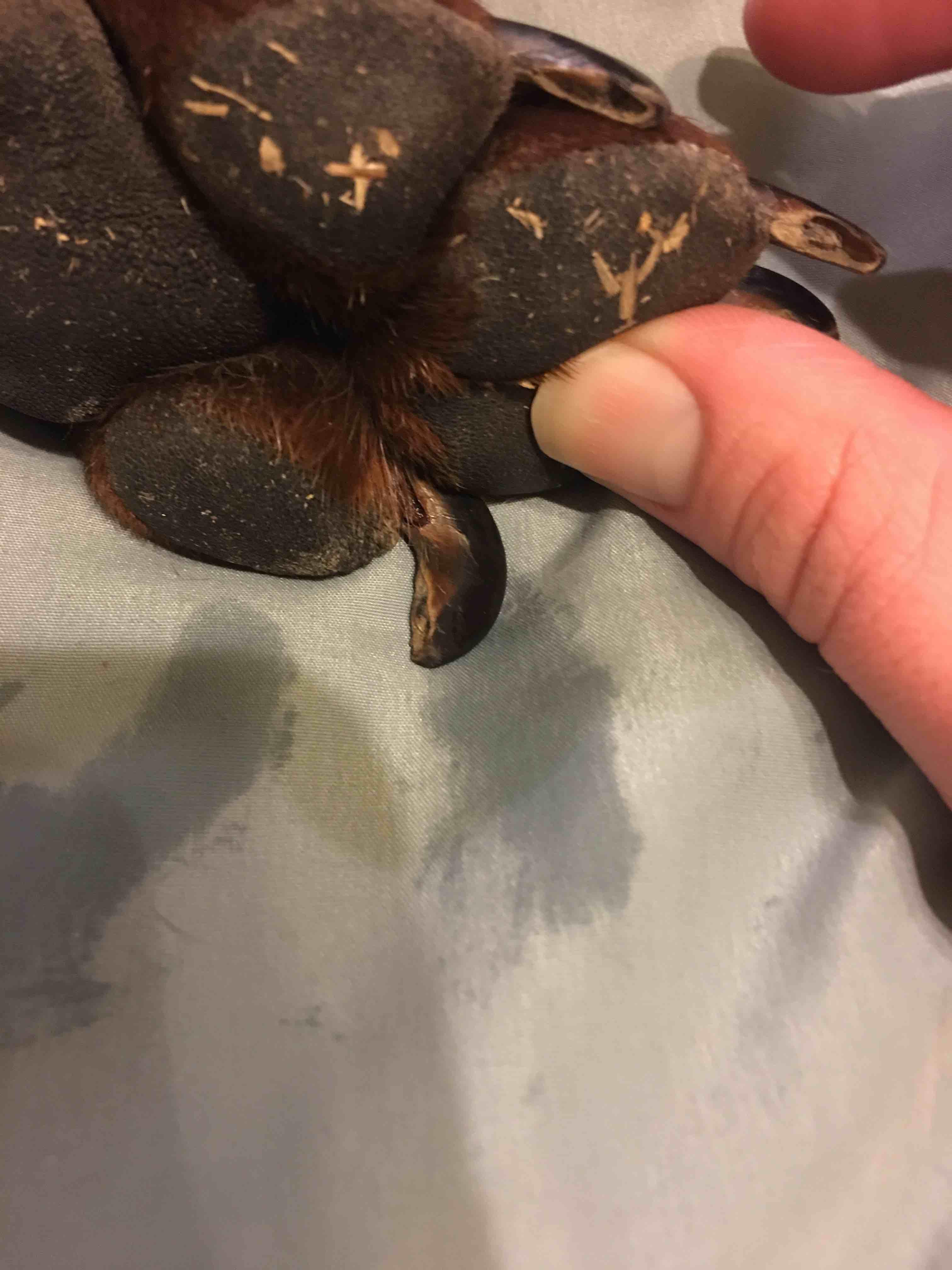 Question details sensitive content