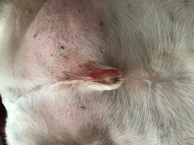 Question details sensitive content