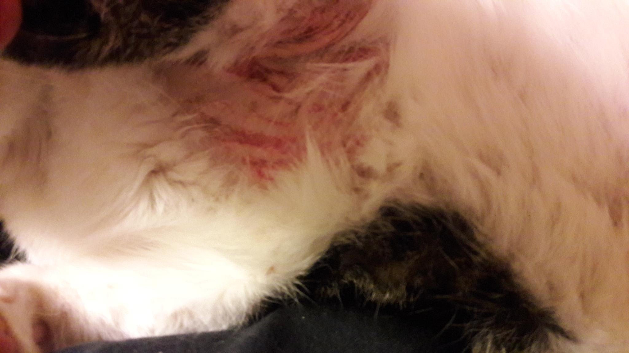 Question details sensitive content