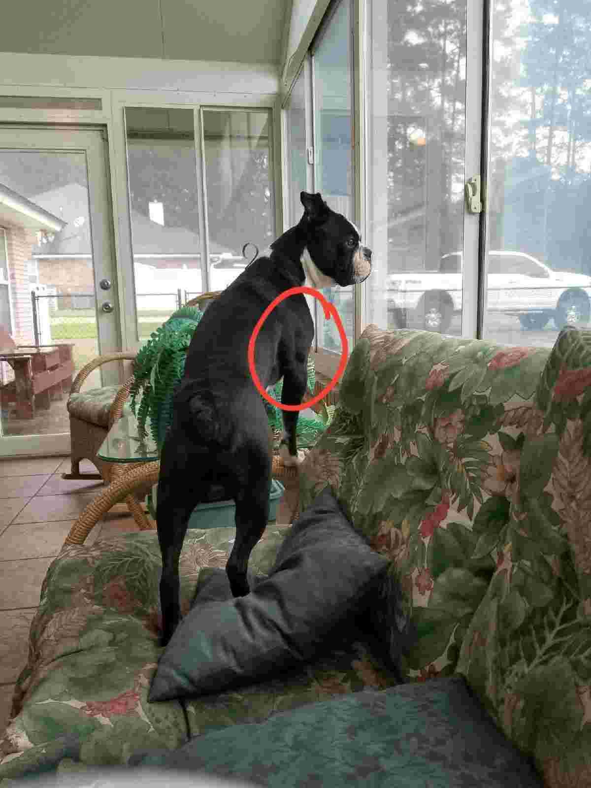 Question details sensitive content